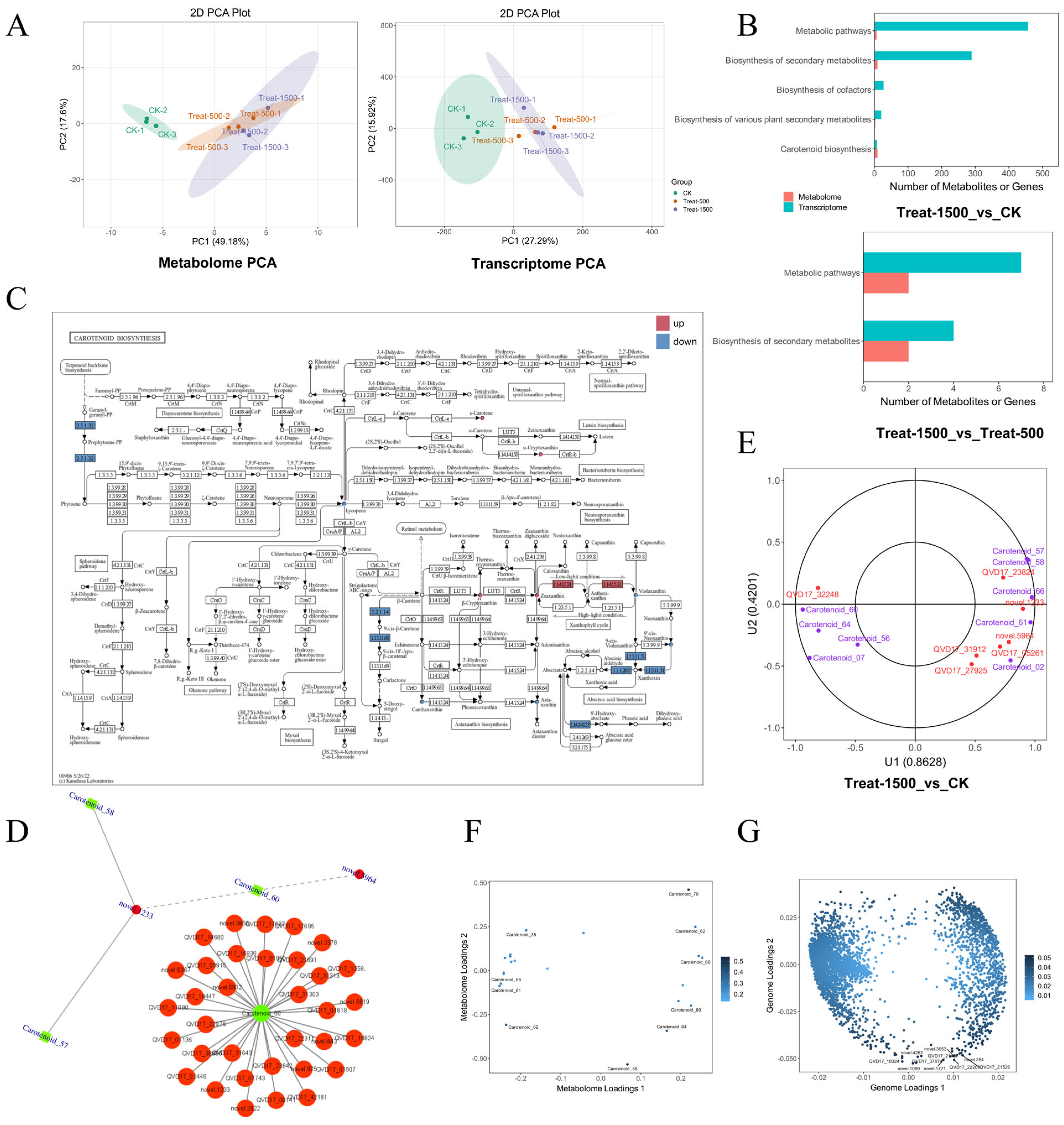 Genes 16 01350 g009