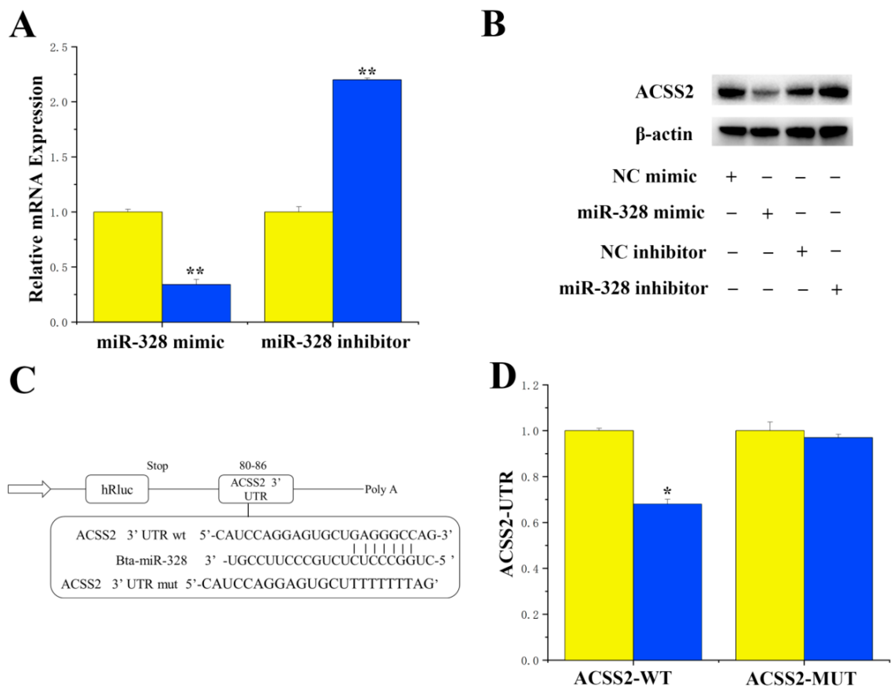Genes 16 01351 g001