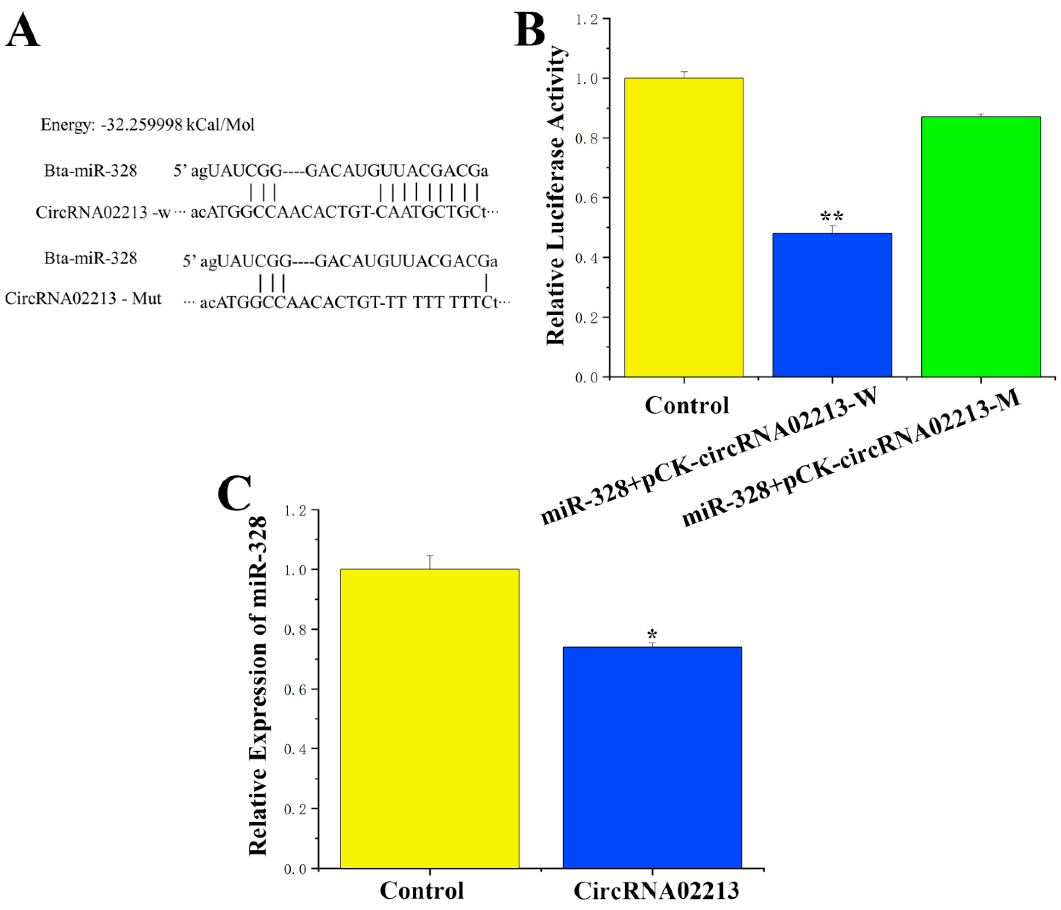 Genes 16 01351 g002