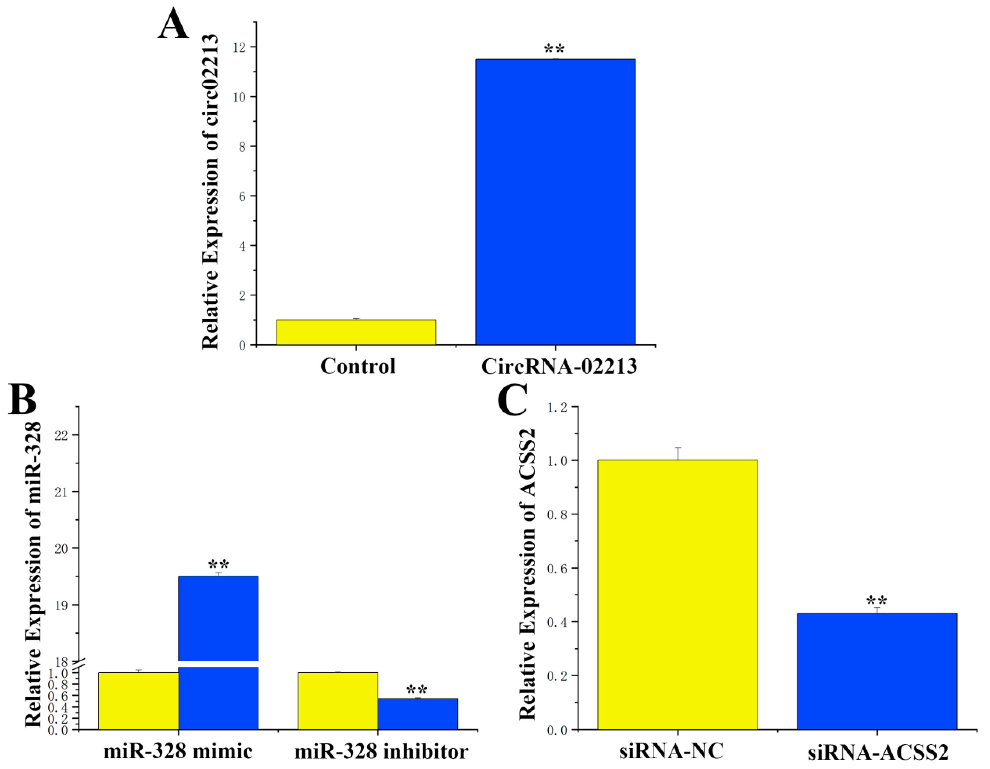Genes 16 01351 g003