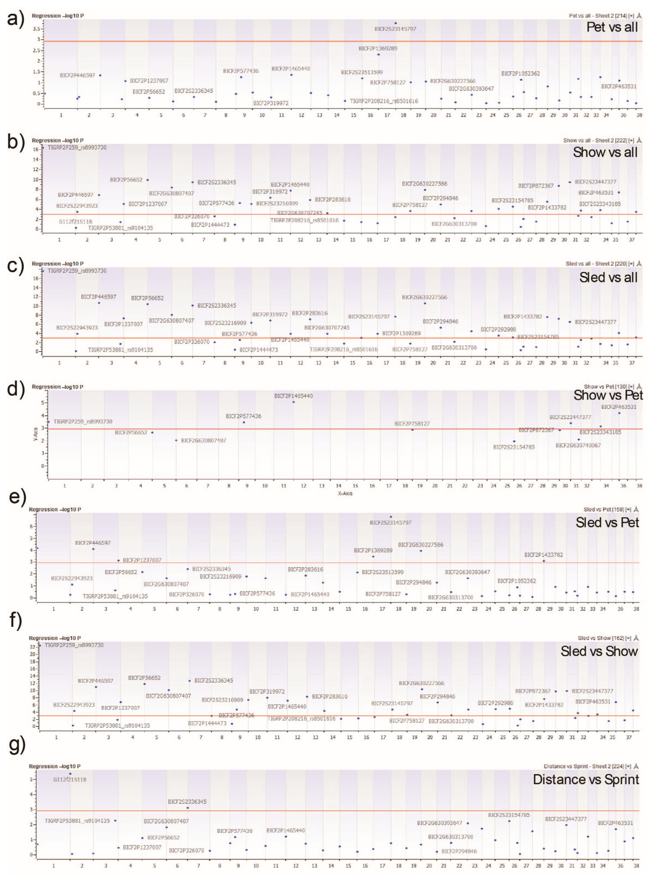 Genes 16 01355 g006 Genes 16 01355 g006