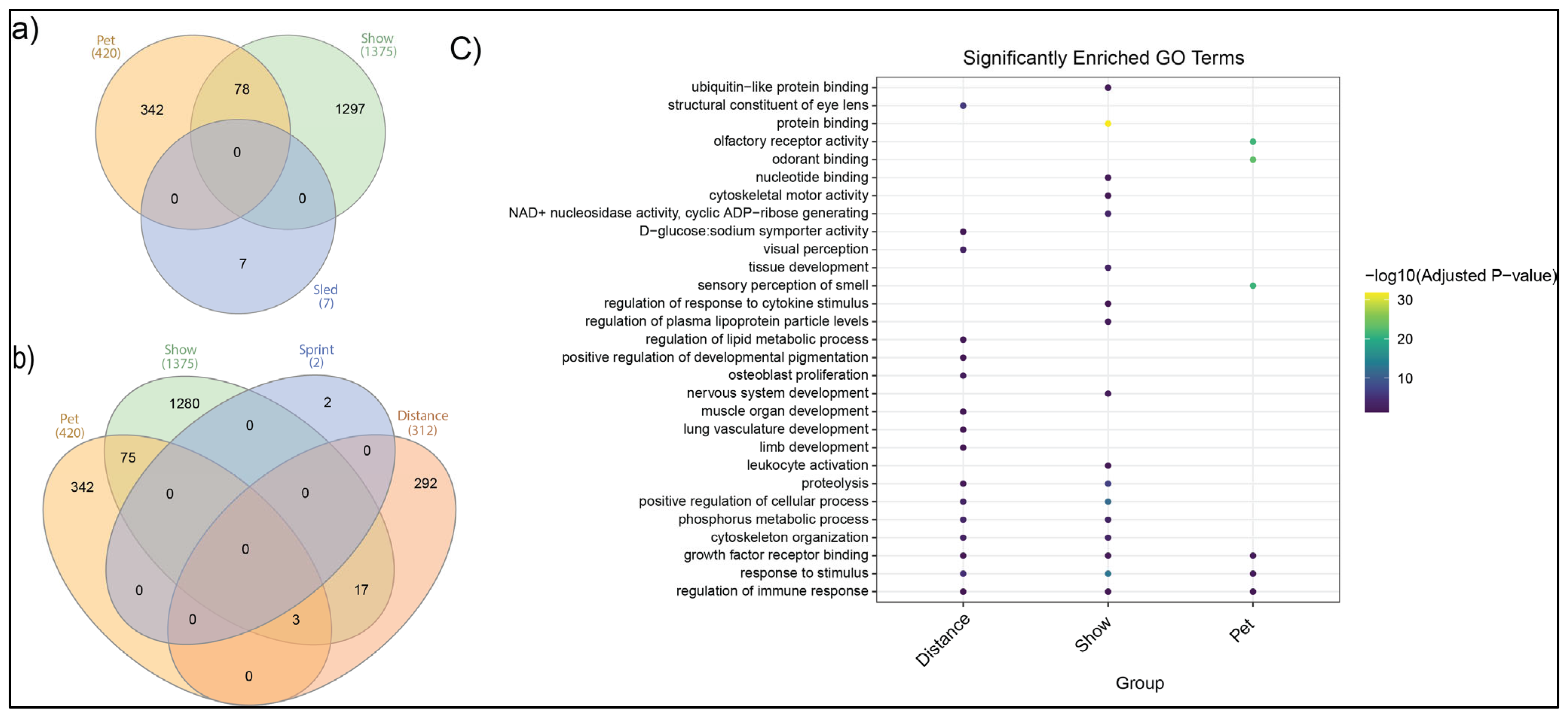 Genes 16 01355 g007 Genes 16 01355 g007