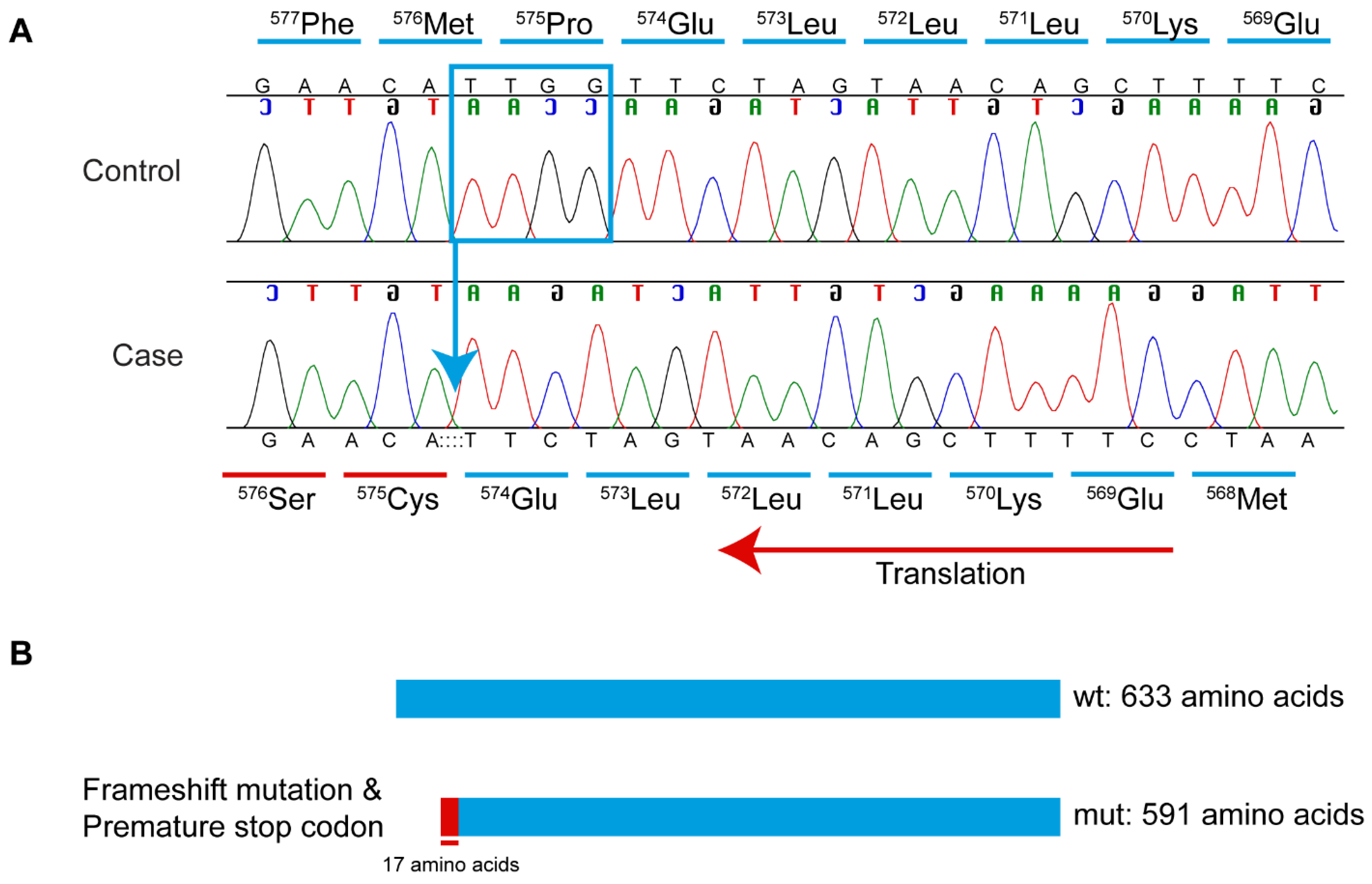Genes 16 01359 g006