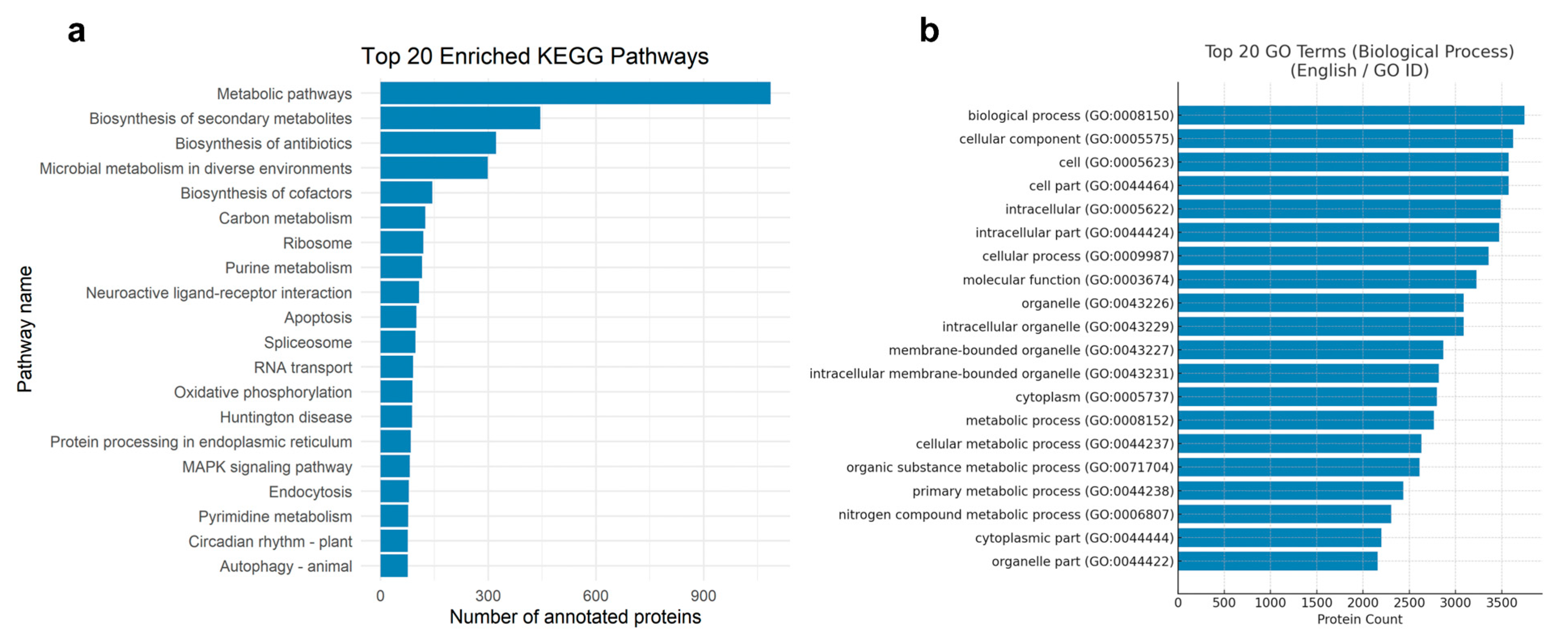 Genes 16 01363 g002