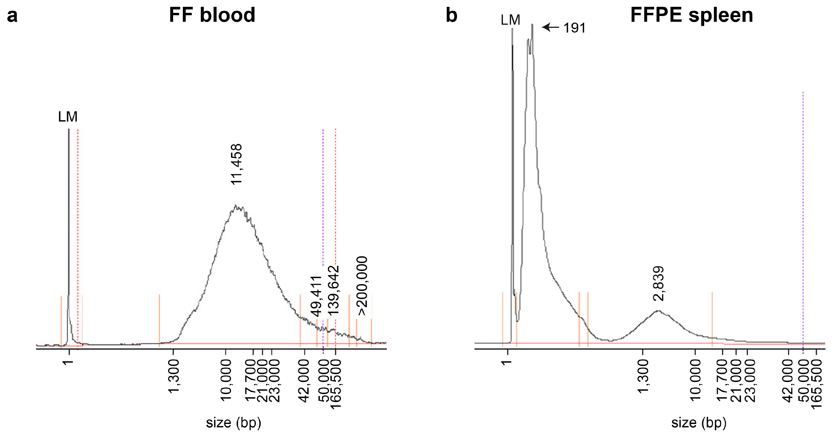 Genes 16 01371 g002