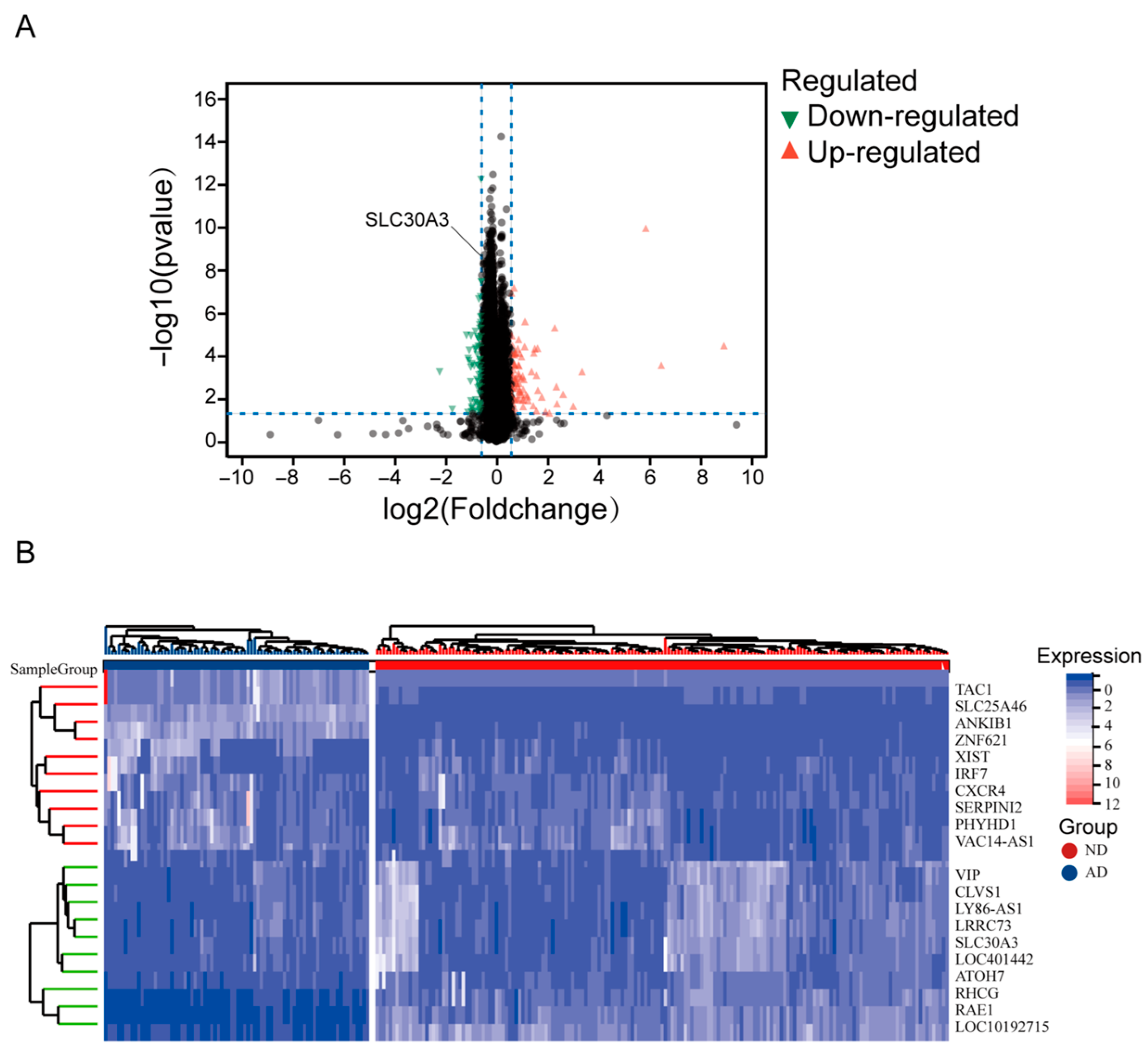 Genes 16 01380 g002 Genes 16 01380 g002