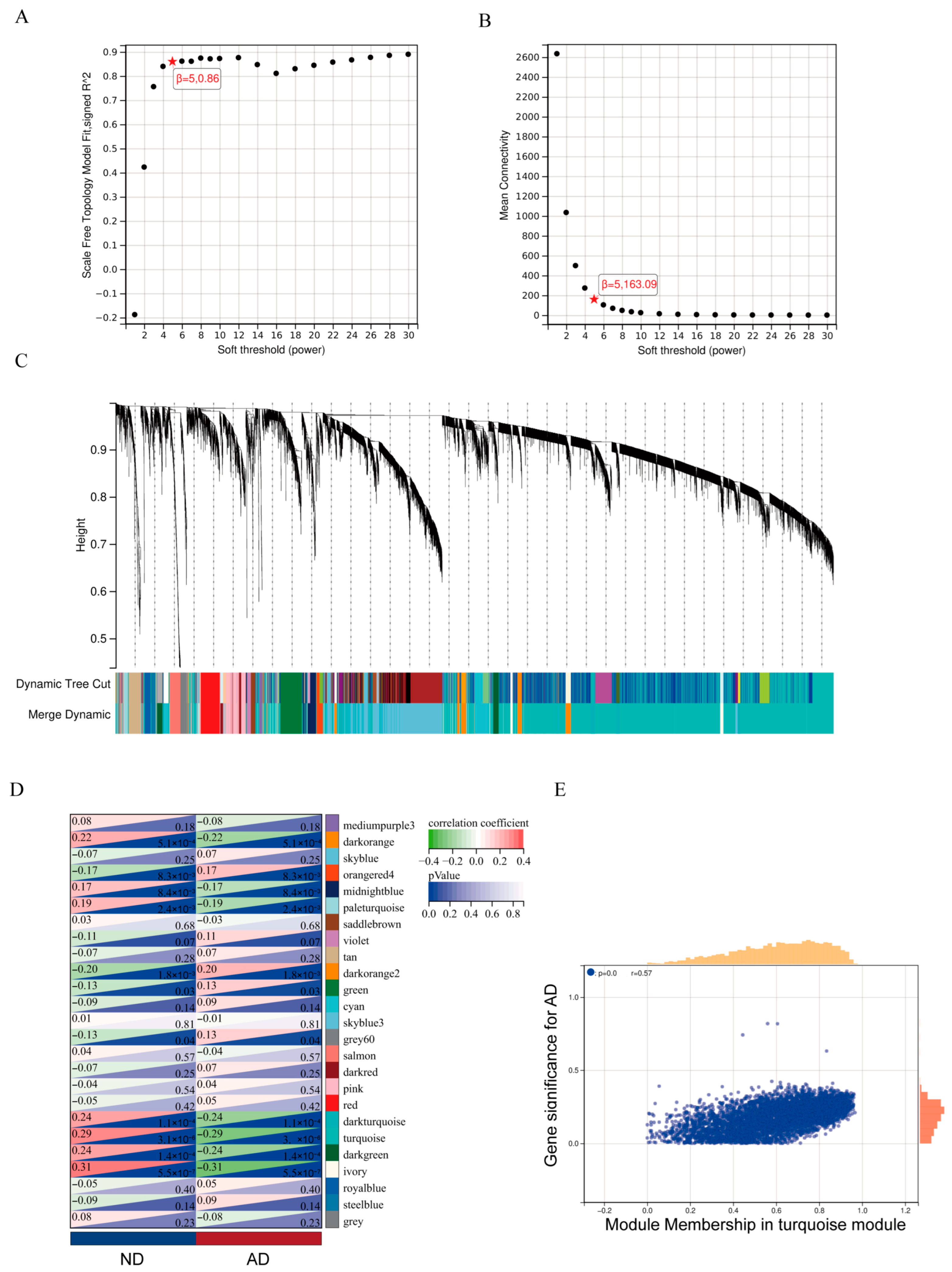 Genes 16 01380 g003 Genes 16 01380 g003