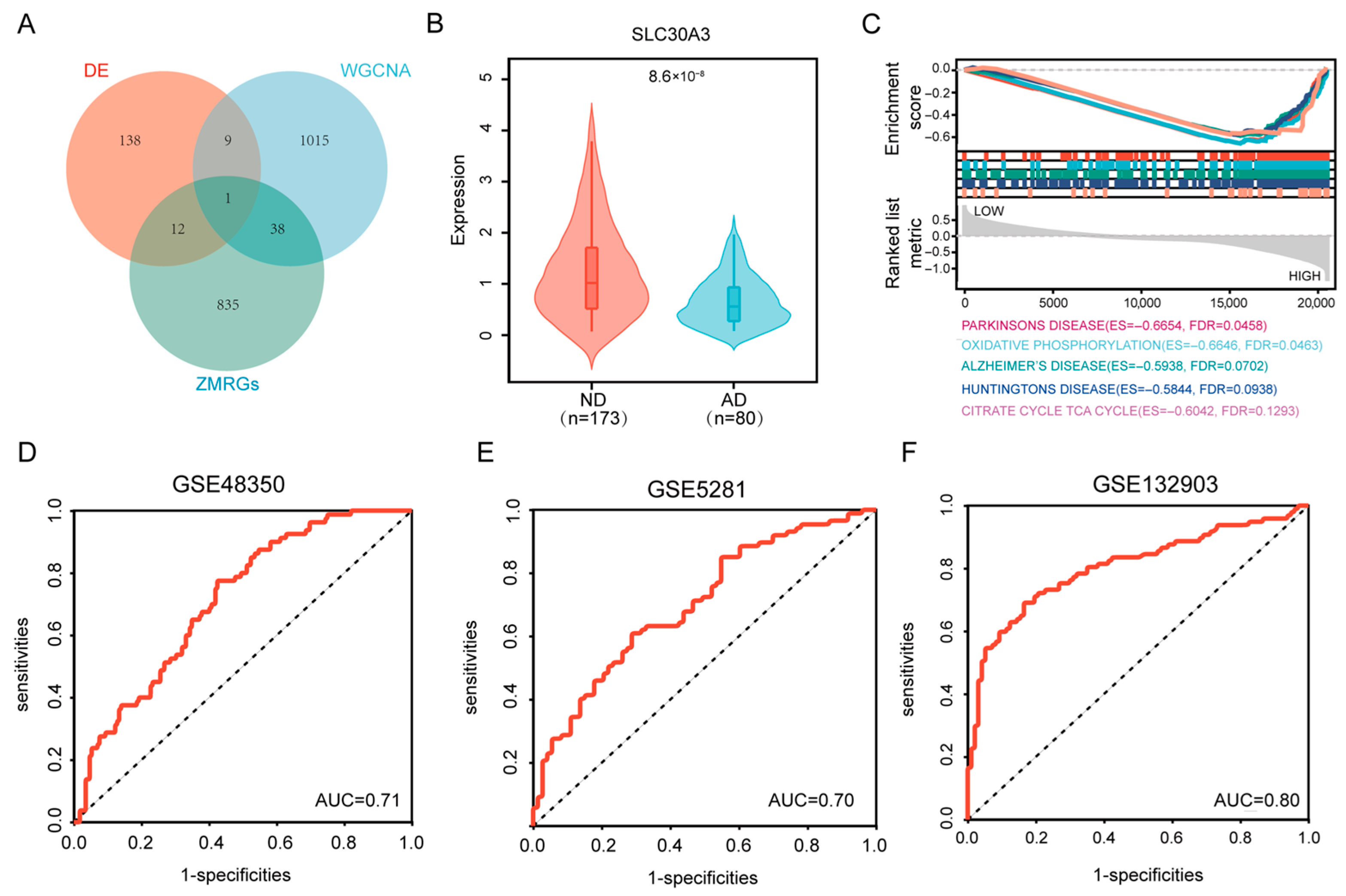 Genes 16 01380 g004 Genes 16 01380 g004