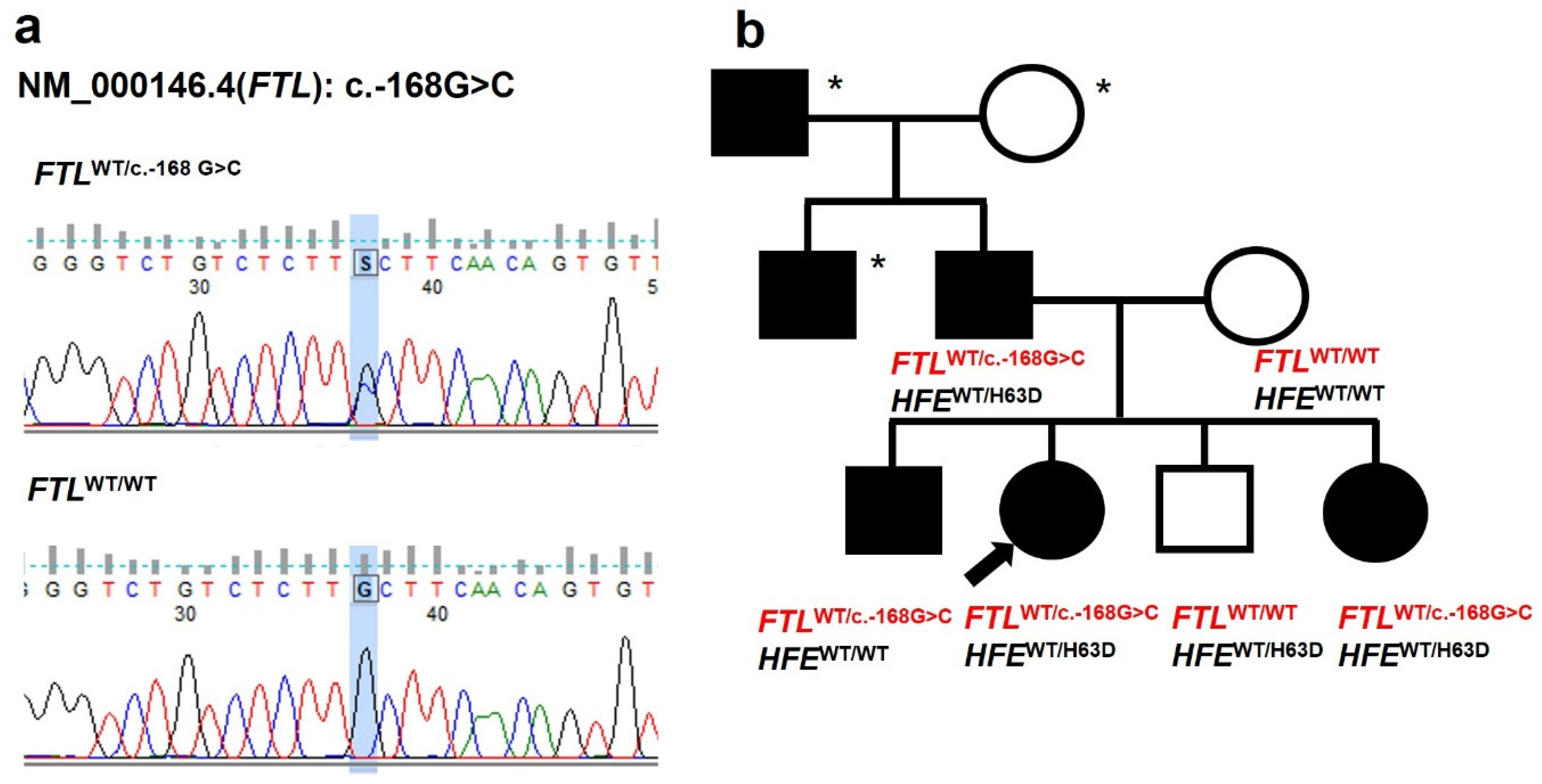 Genes 16 01381 g001