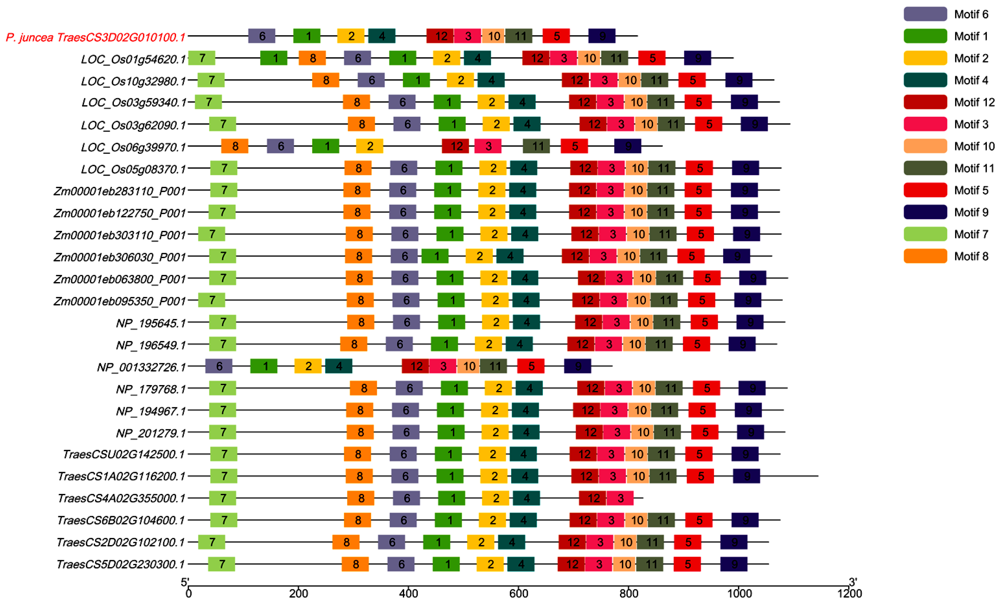 Genes 16 01383 g009 Genes 16 01383 g009