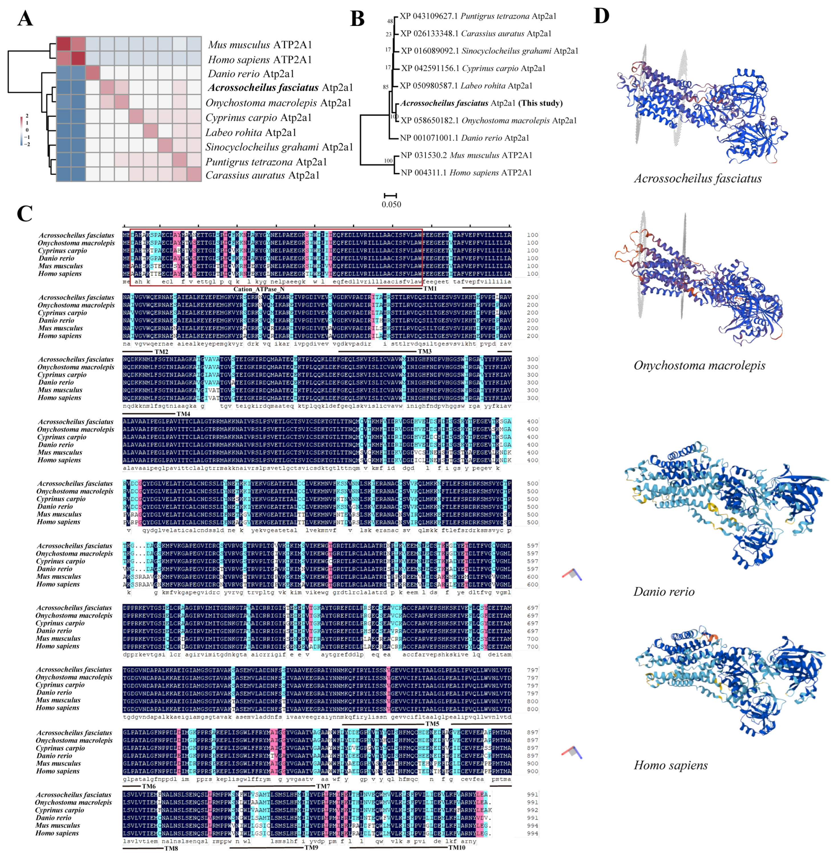 Genes 16 01385 g001