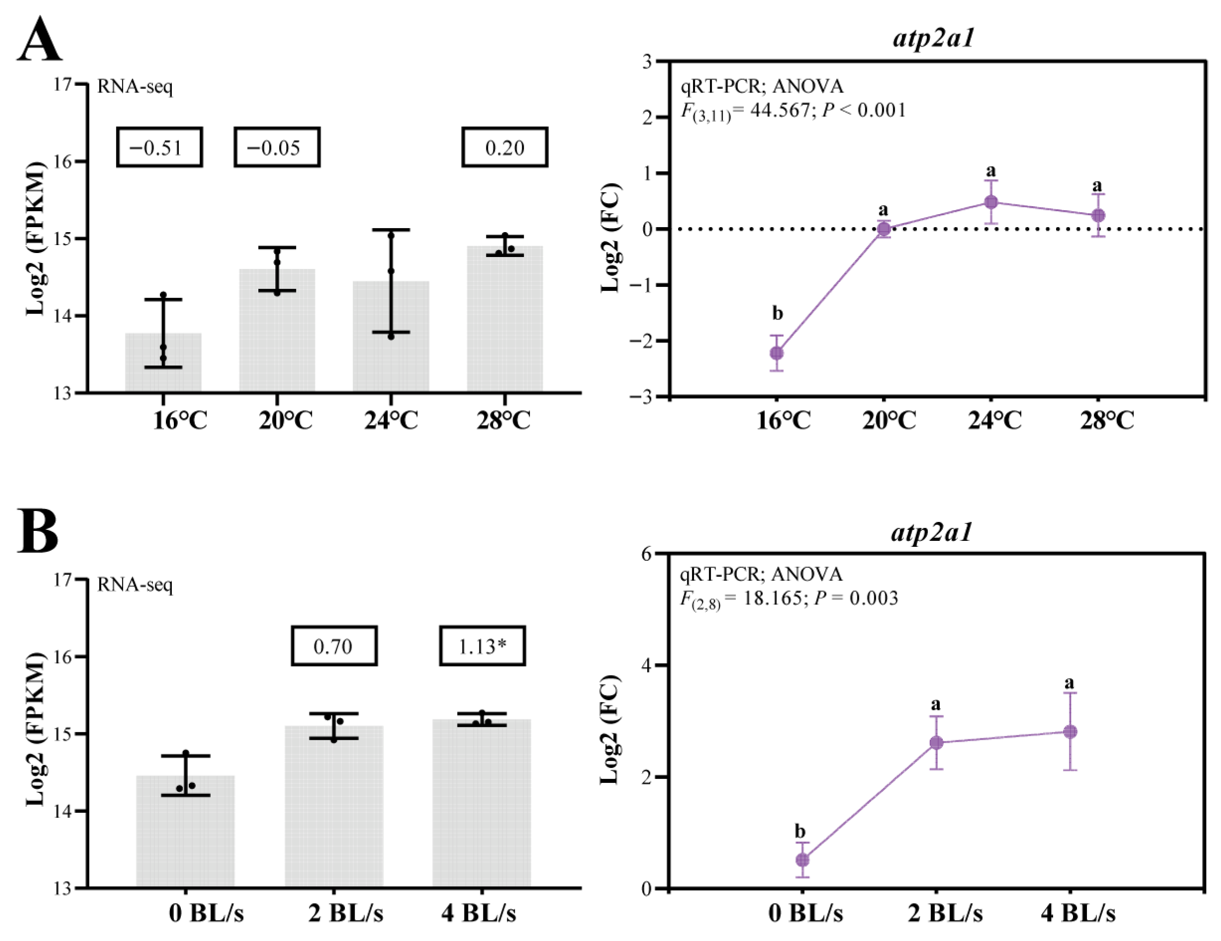 Genes 16 01385 g003