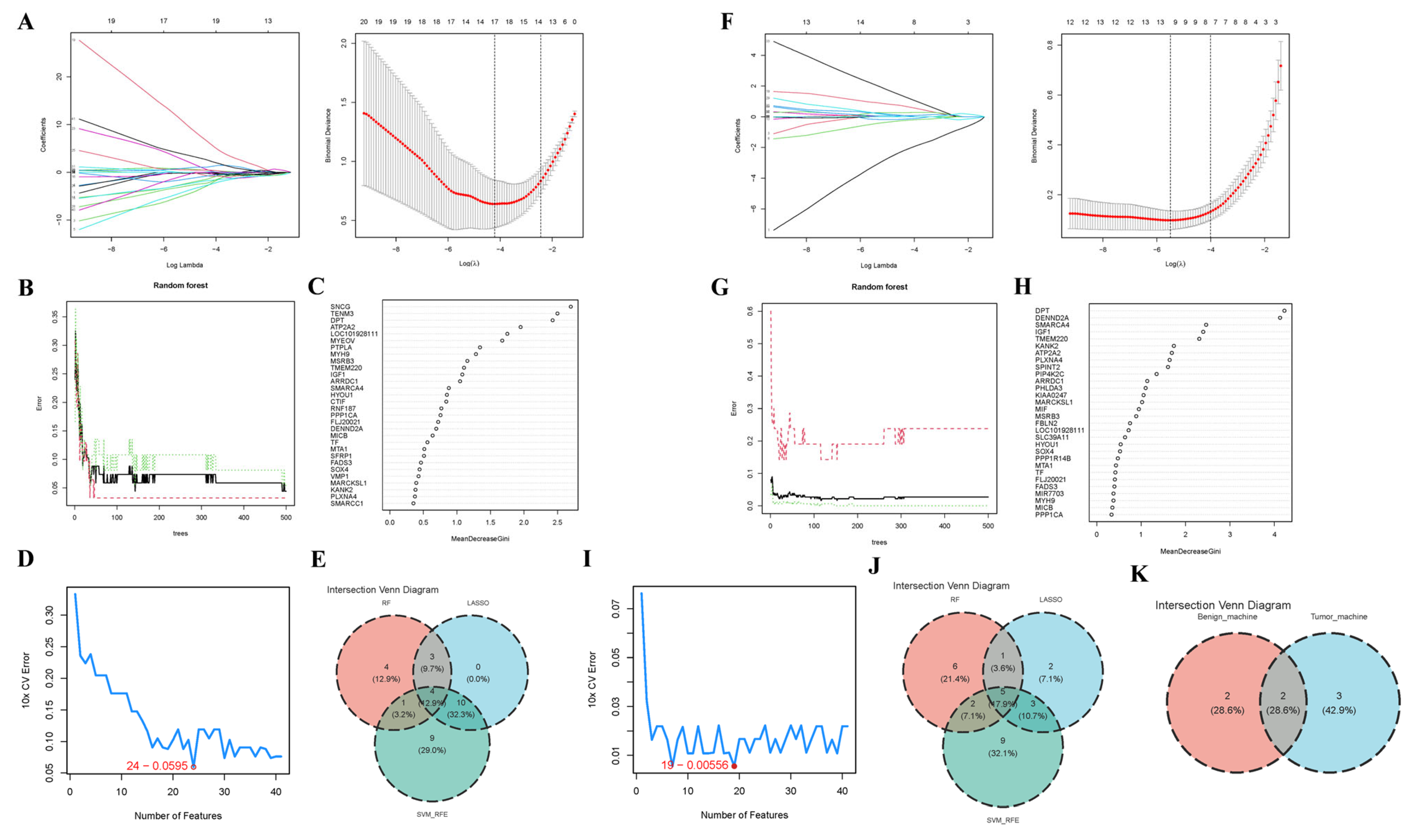 Genes 16 01389 g006