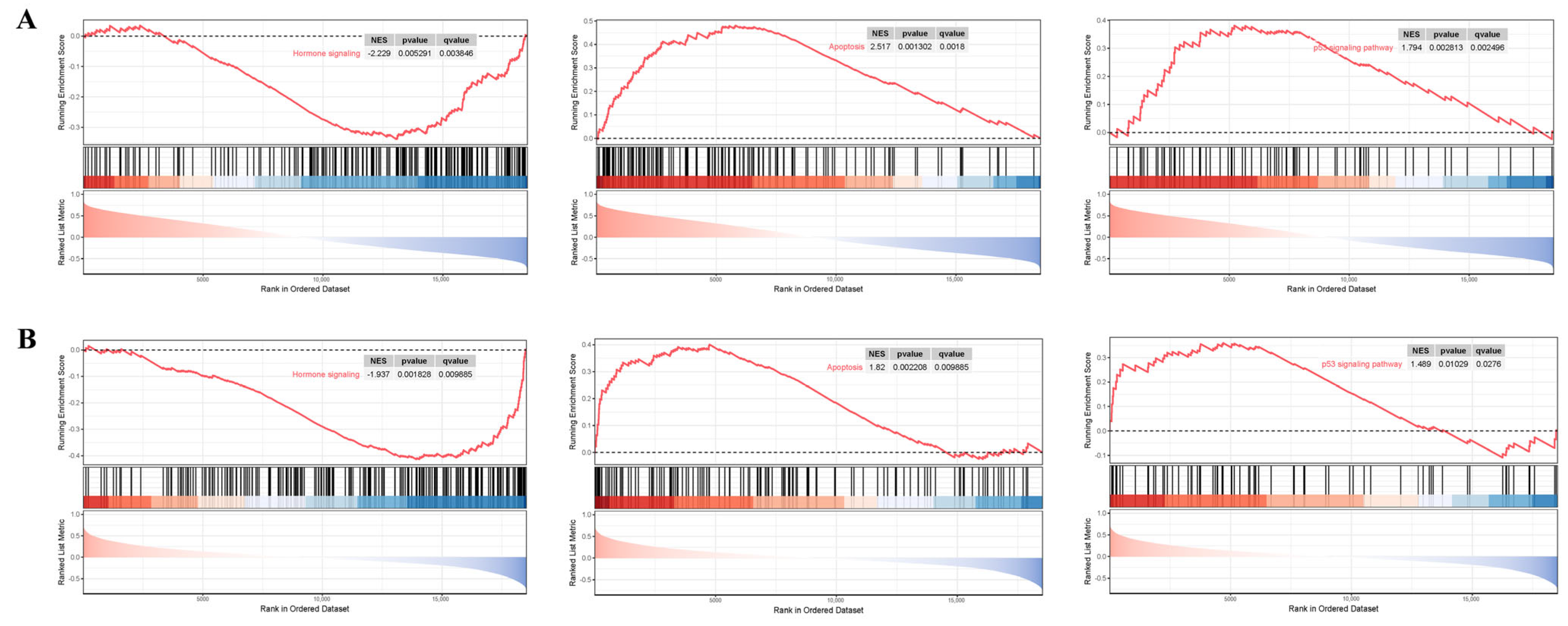 Genes 16 01389 g011