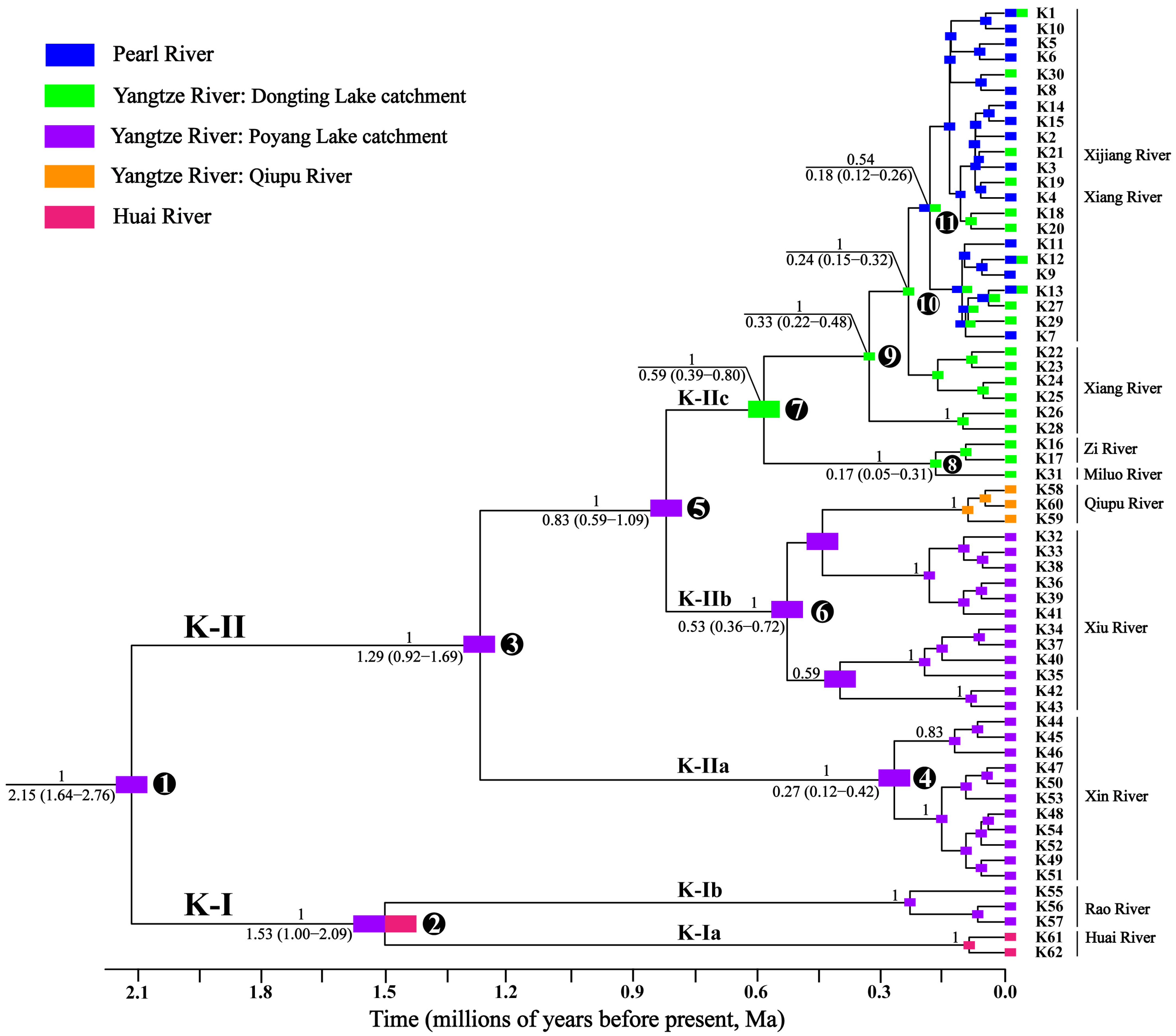 Genes 16 01393 g002