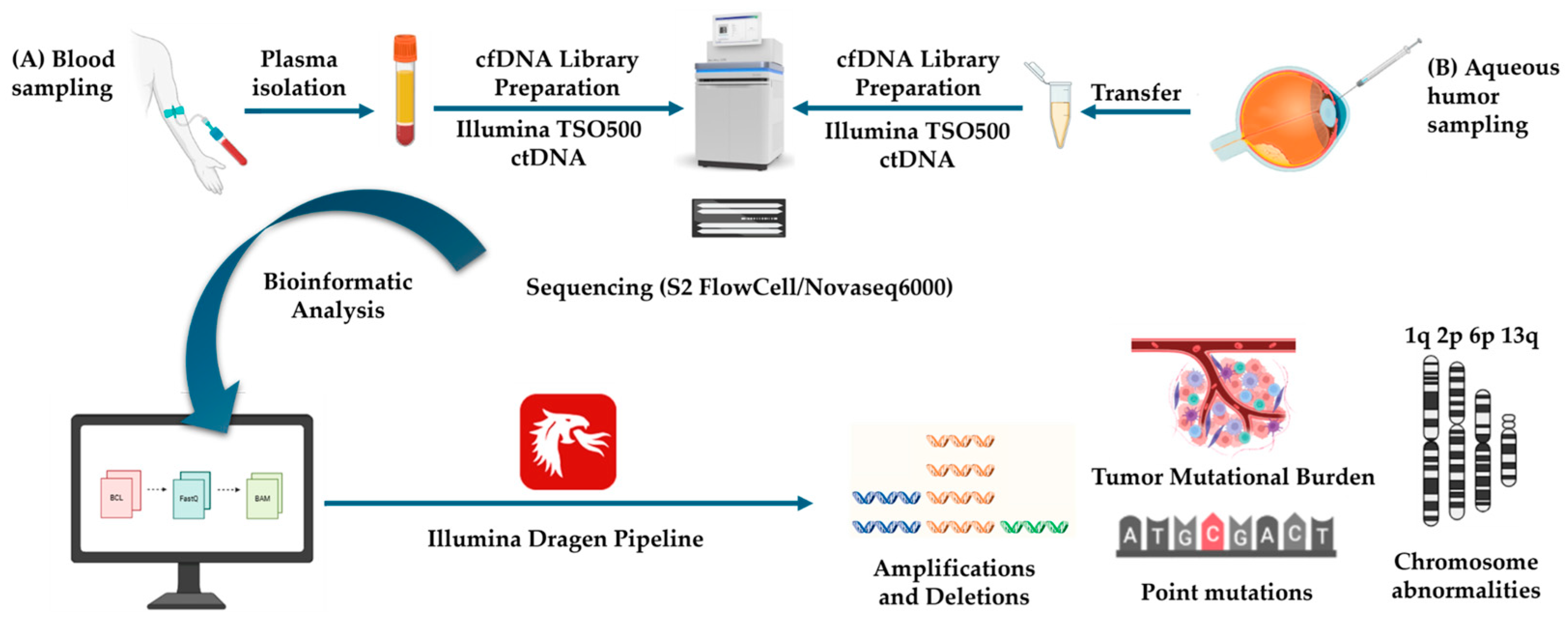 Genes 16 01399 g001 Genes 16 01399 g001
