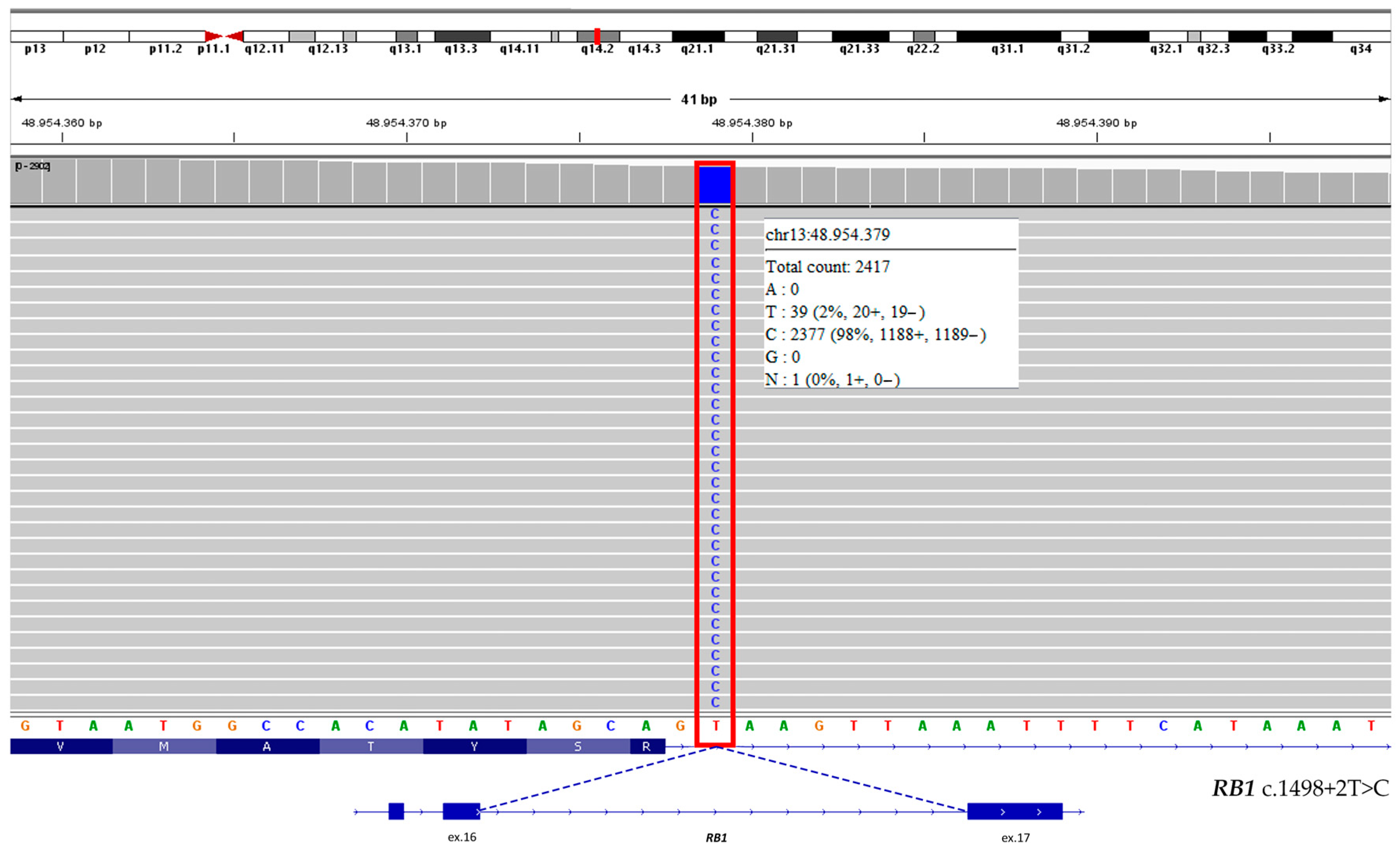 Genes 16 01399 g003 Genes 16 01399 g003