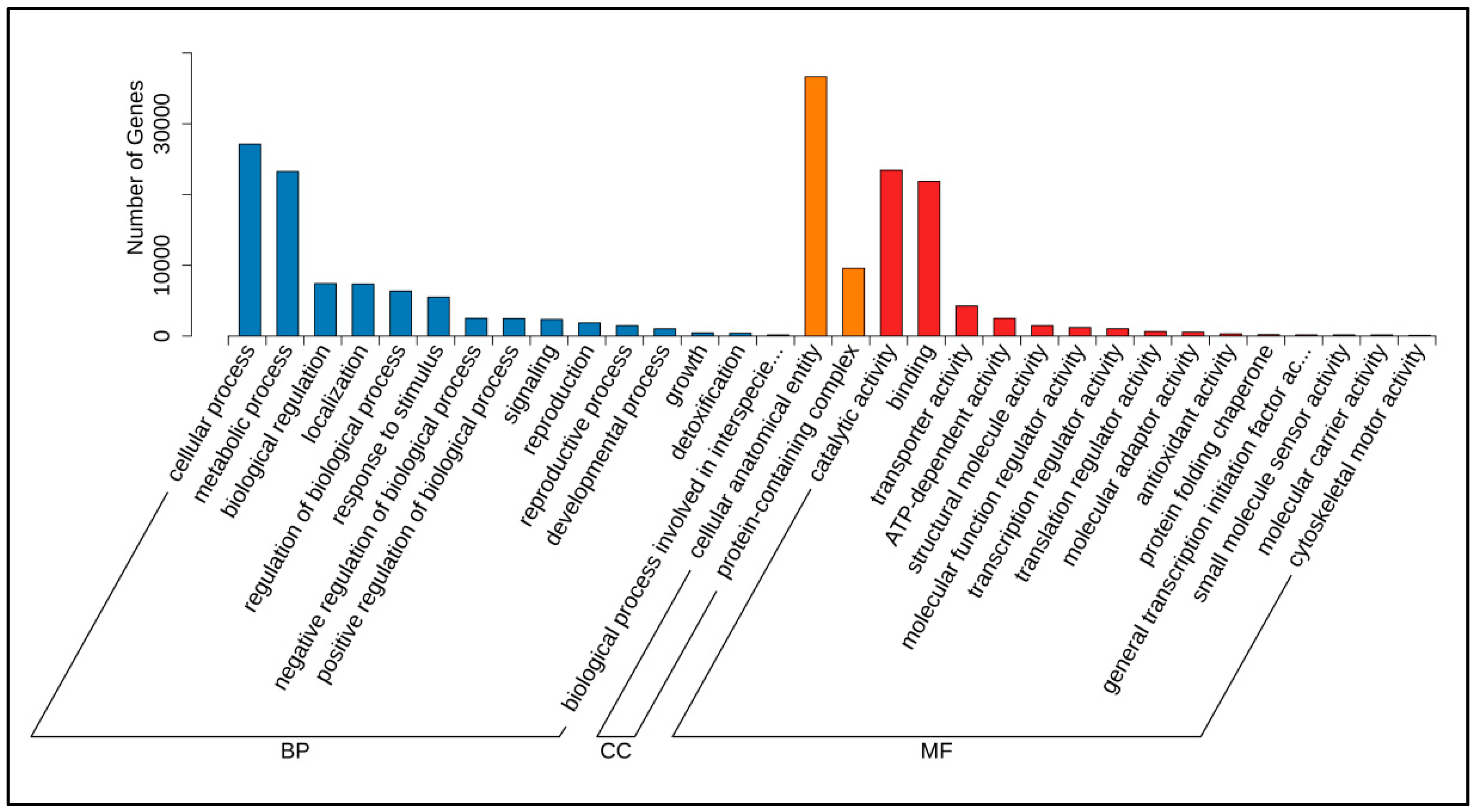 Genes 16 01404 g002