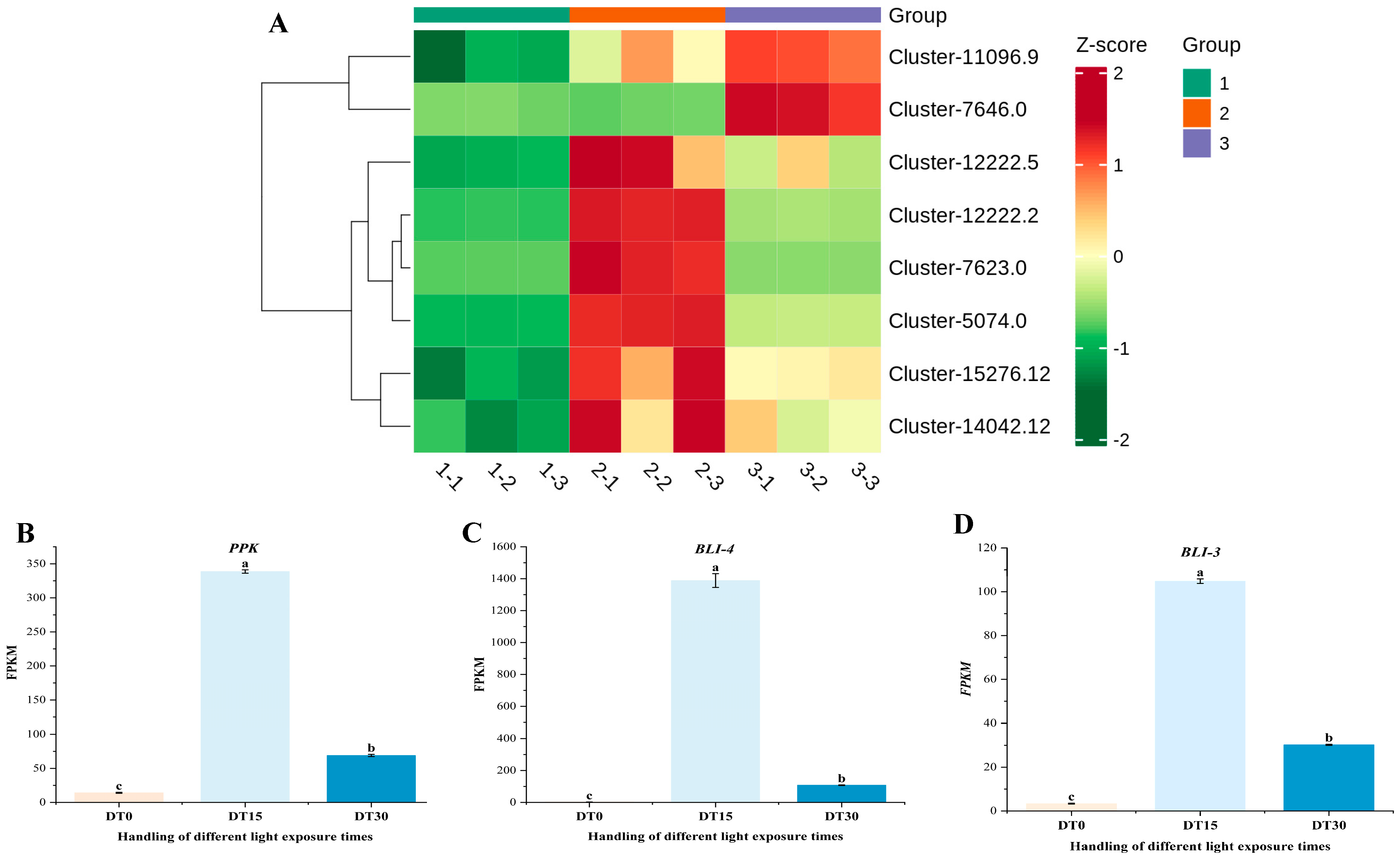 Genes 16 01404 g004