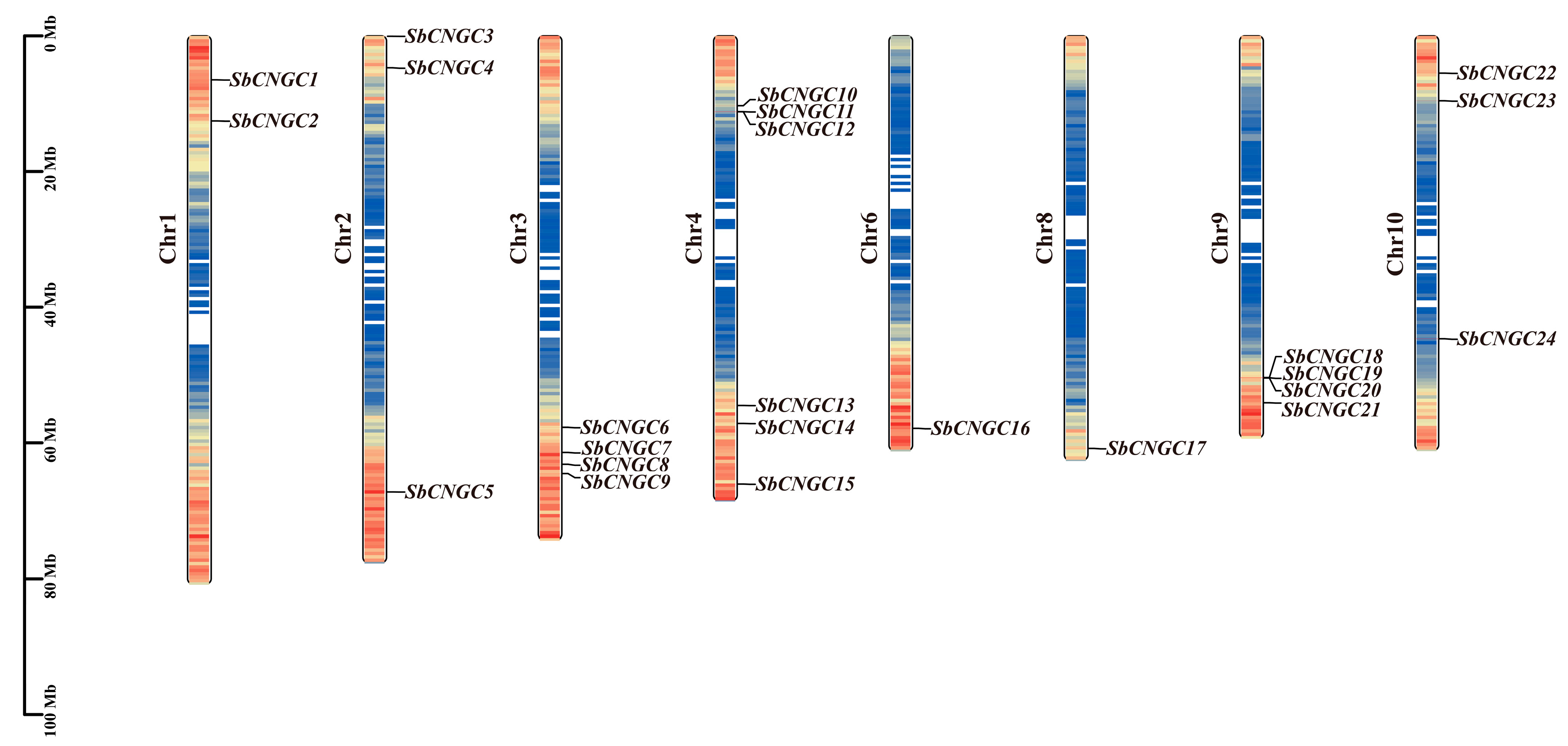 Genes 16 01405 g001 Genes 16 01405 g001