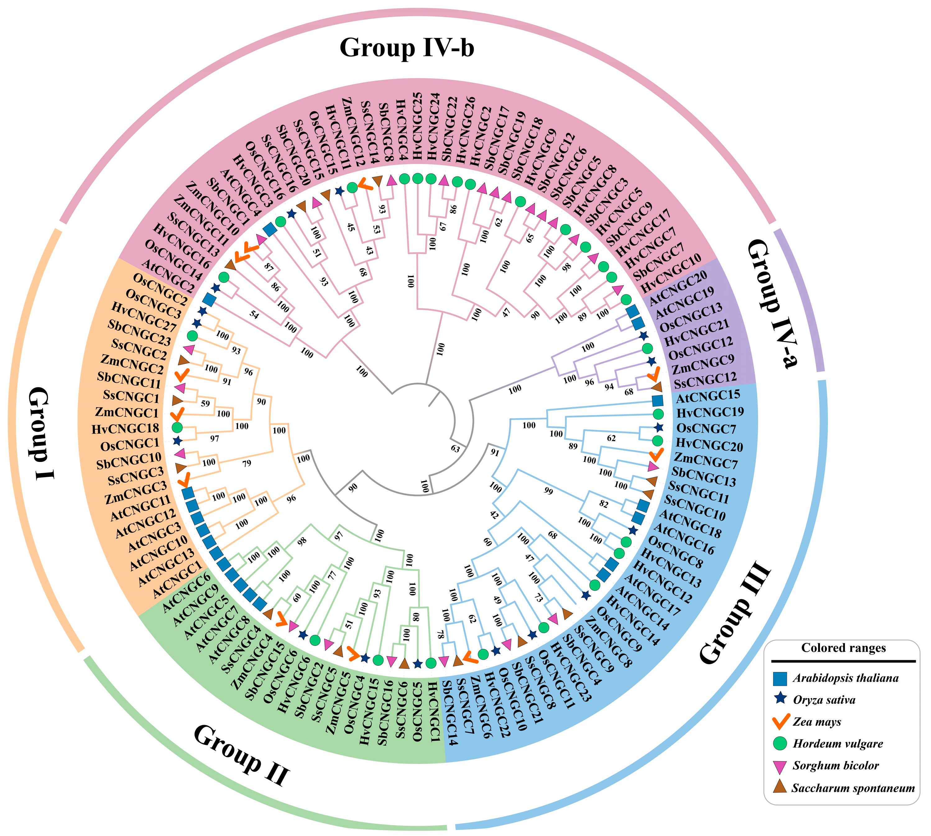 Genes 16 01405 g002 Genes 16 01405 g002
