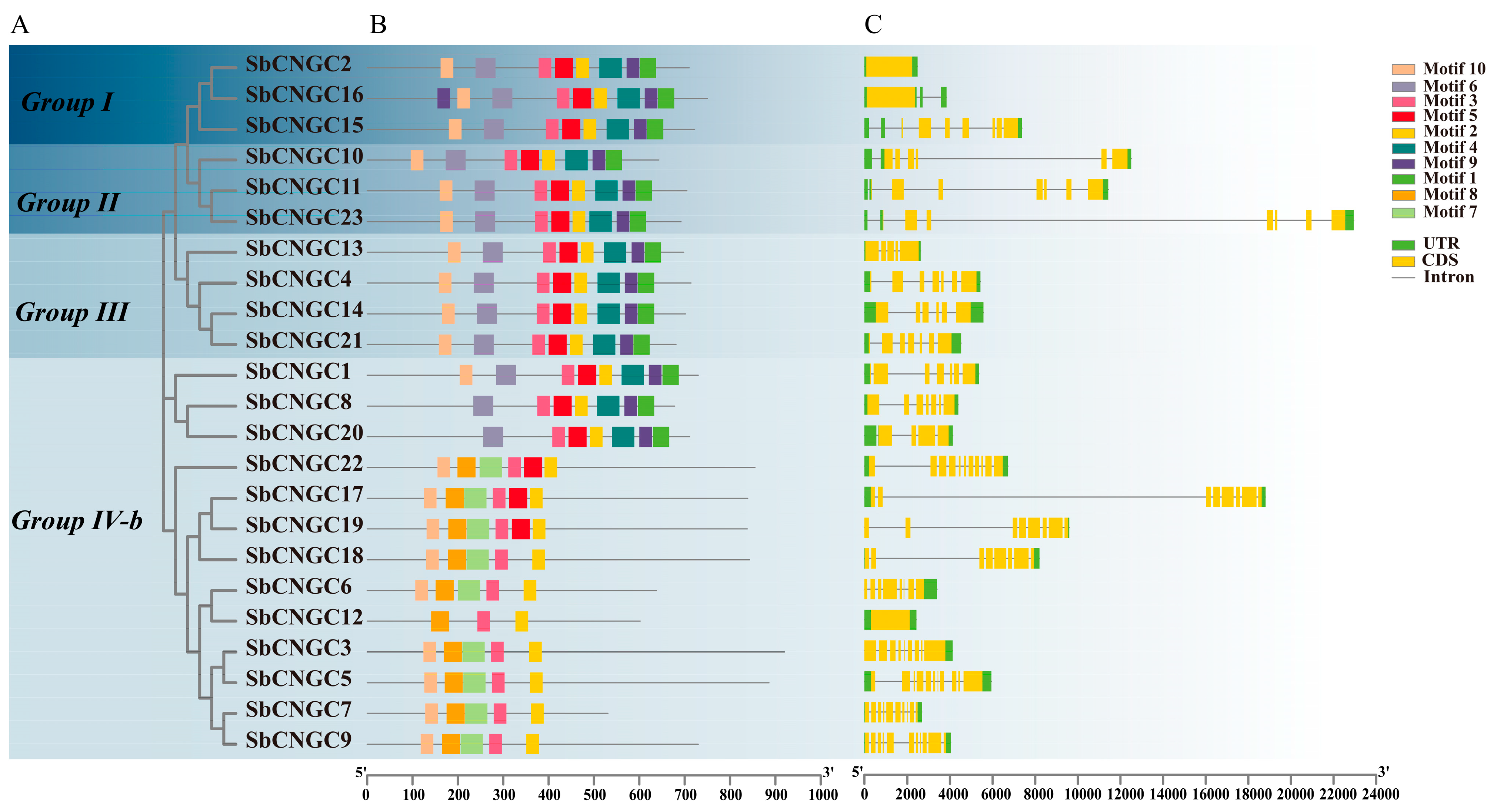 Genes 16 01405 g003 Genes 16 01405 g003