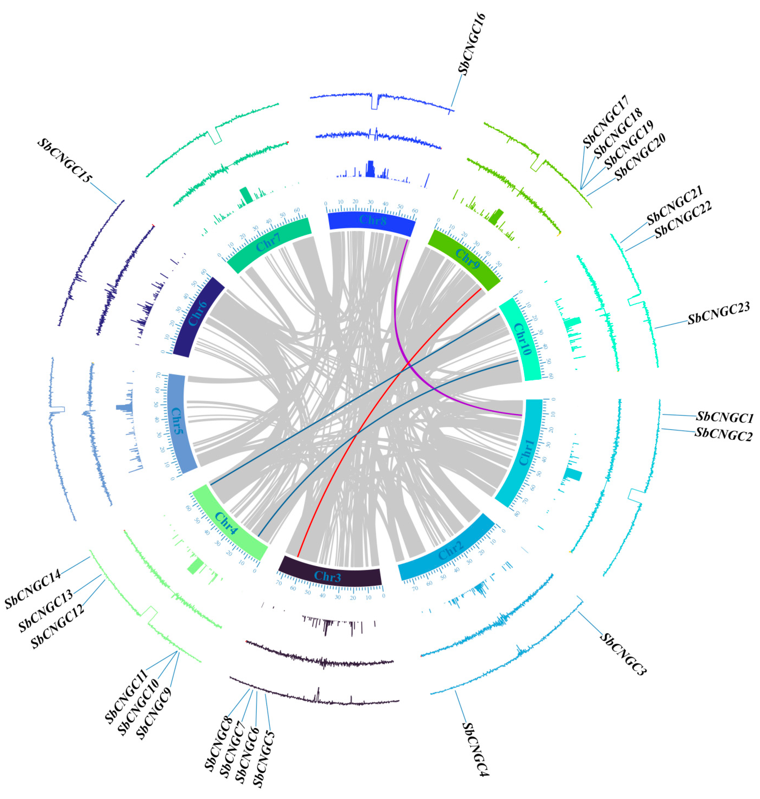 Genes 16 01405 g005 Genes 16 01405 g005
