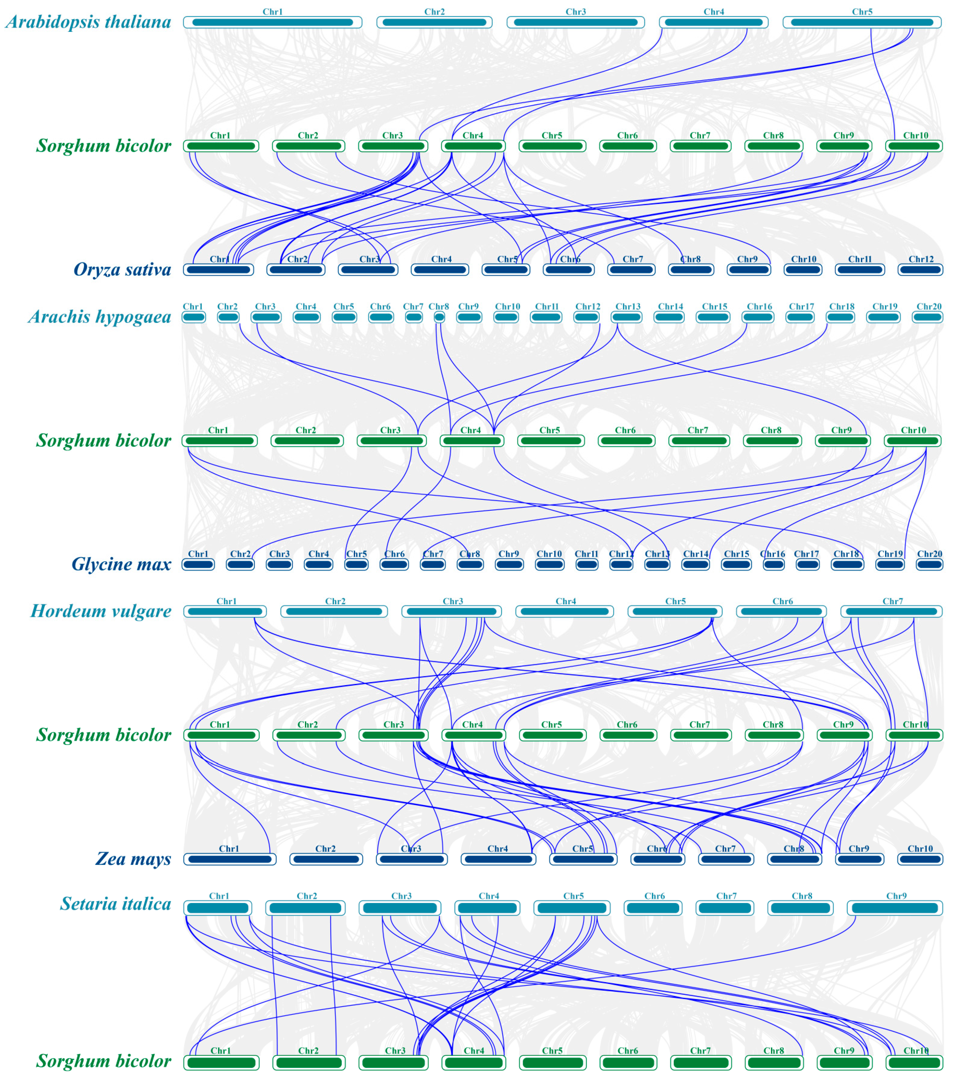 Genes 16 01405 g006 Genes 16 01405 g006