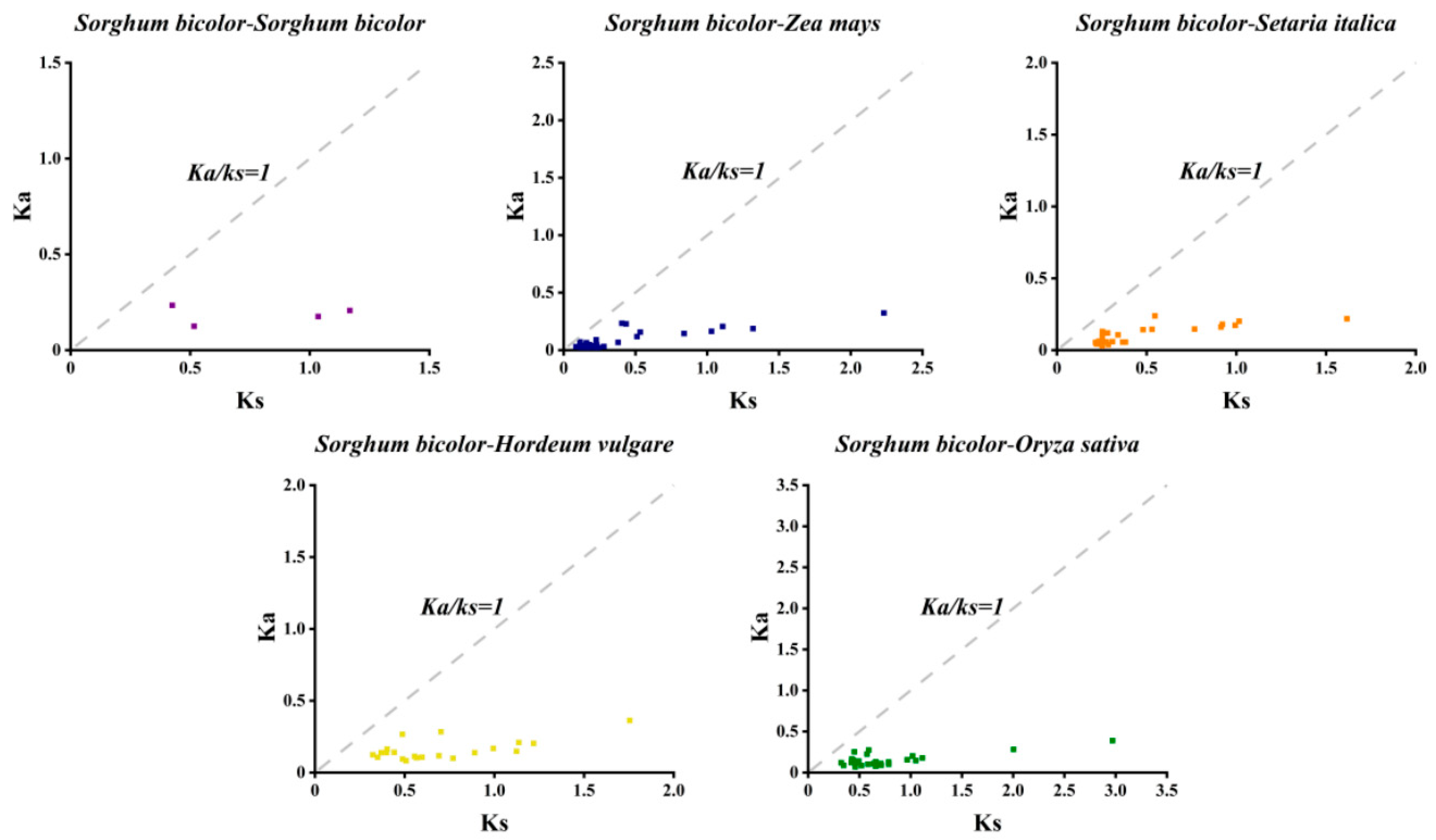 Genes 16 01405 g007 Genes 16 01405 g007