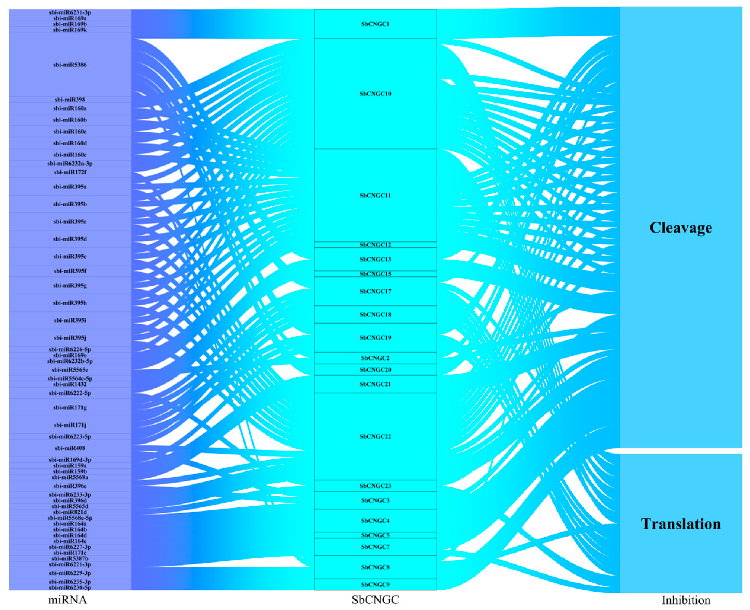 Genes 16 01405 g009 Genes 16 01405 g009