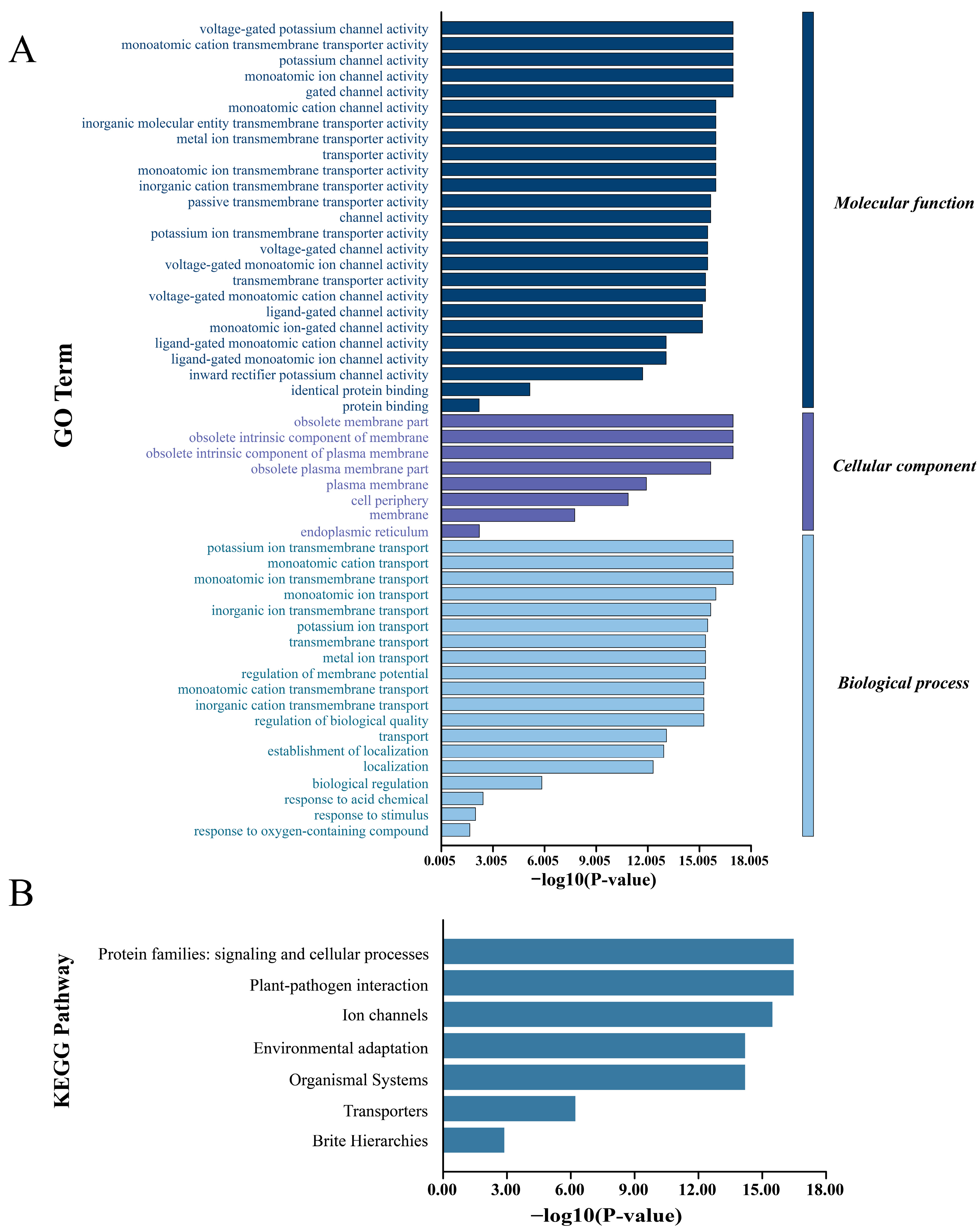 Genes 16 01405 g010 Genes 16 01405 g010