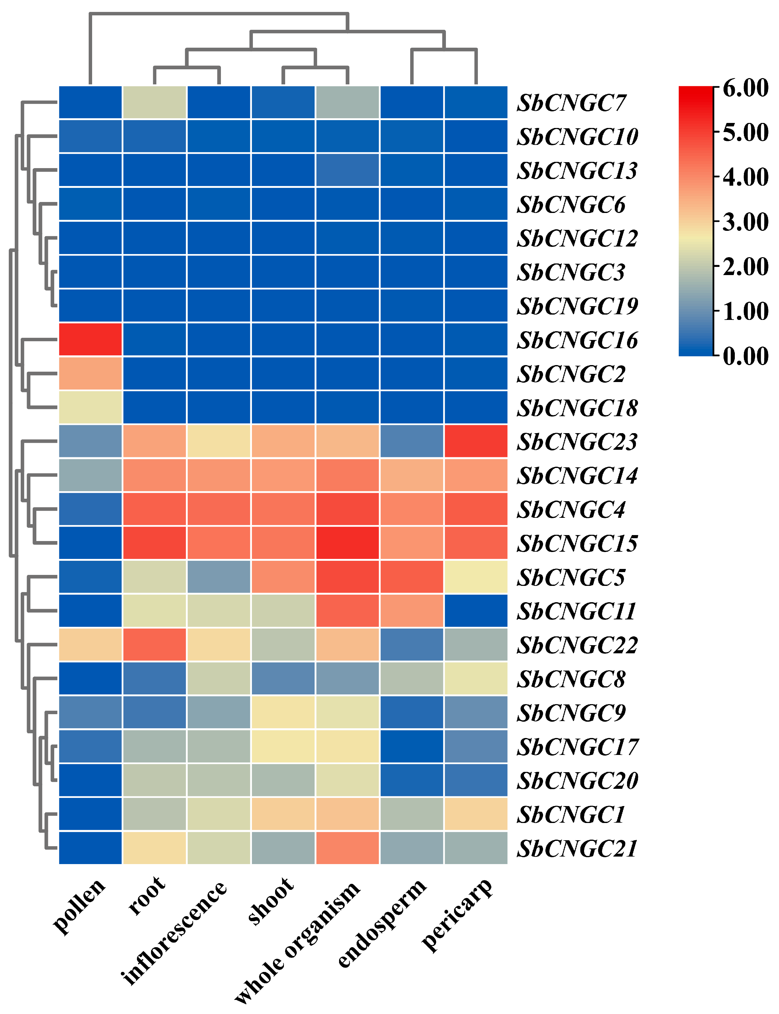 Genes 16 01405 g011 Genes 16 01405 g011
