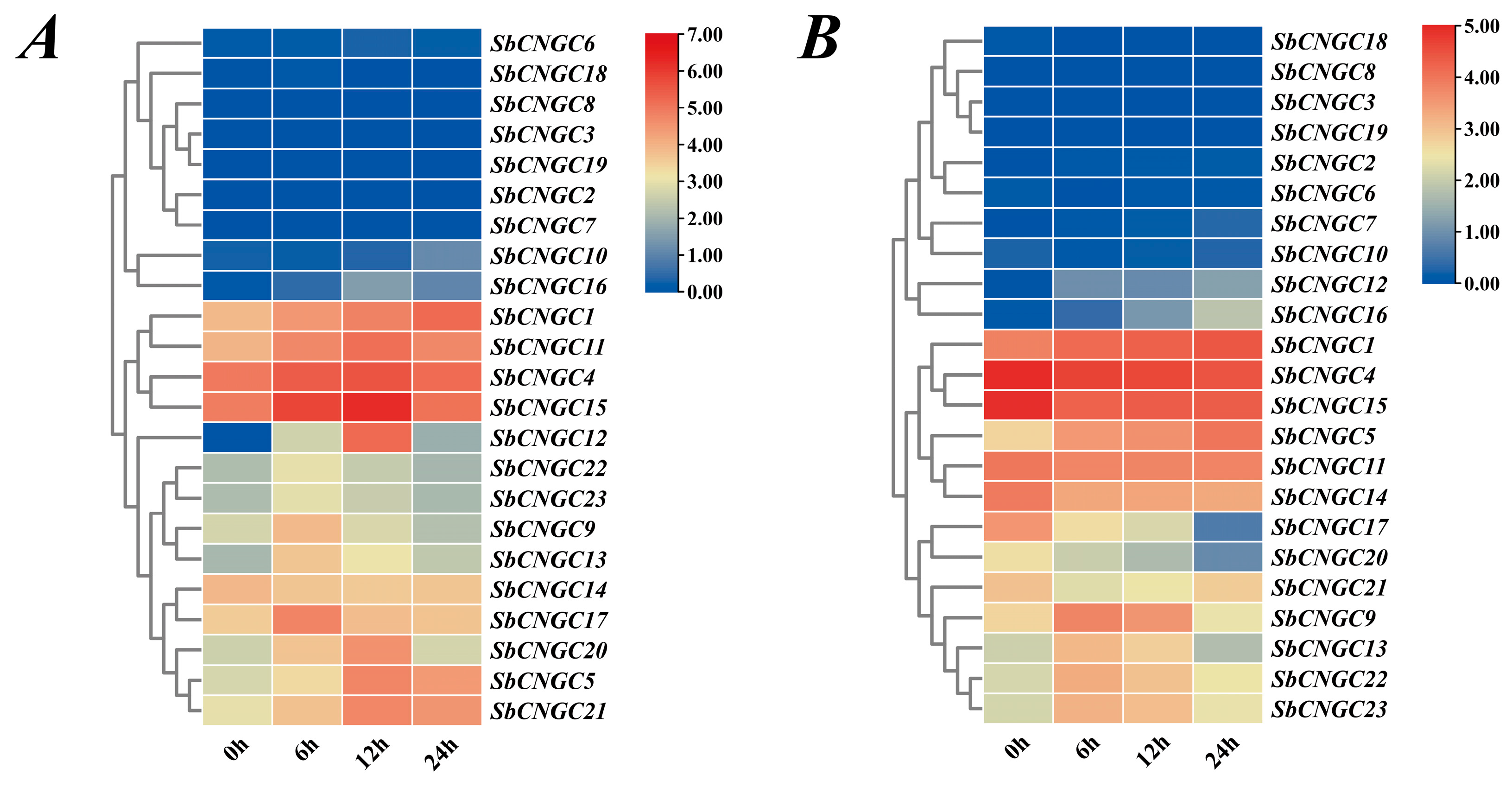 Genes 16 01405 g012 Genes 16 01405 g012