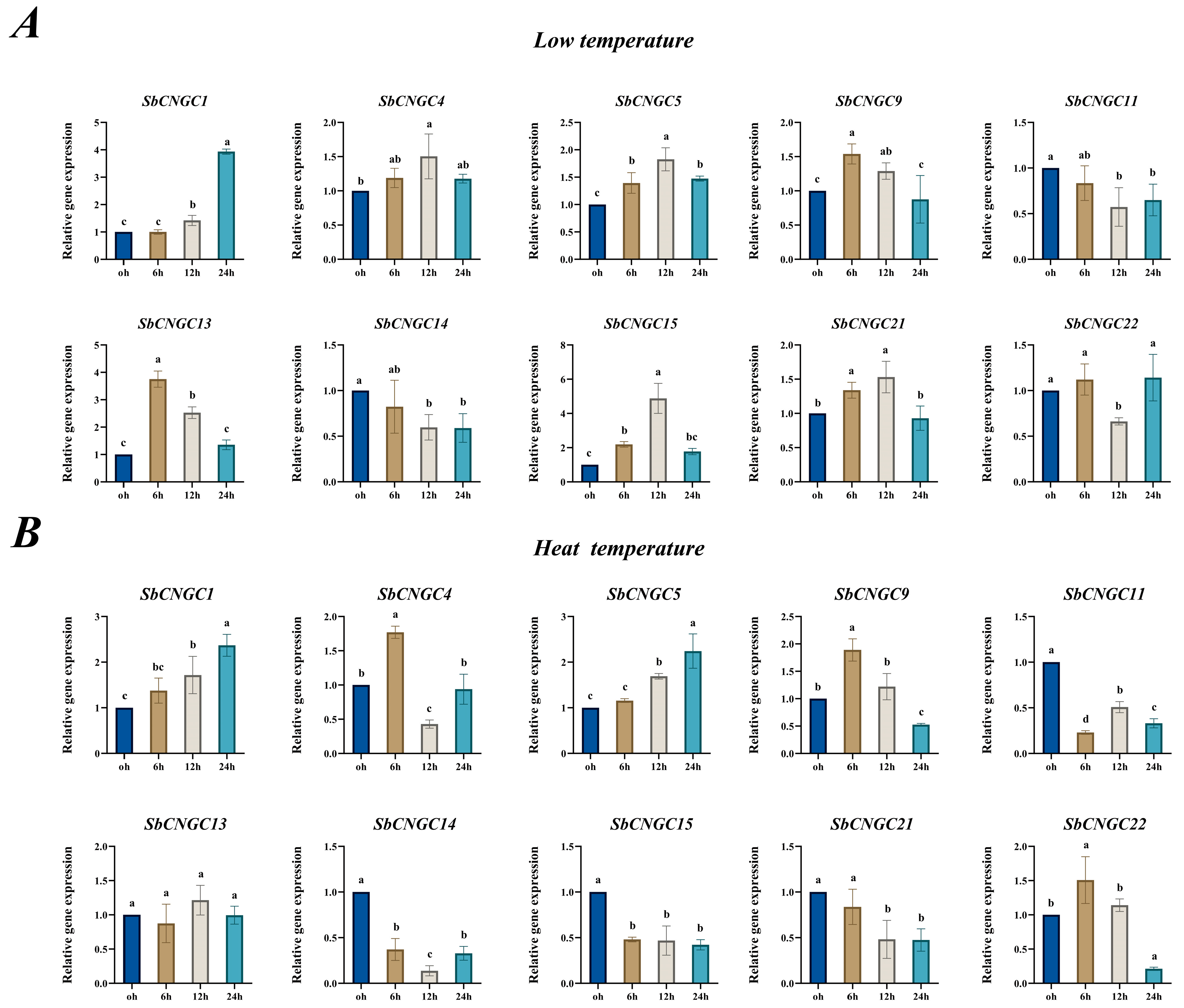 Genes 16 01405 g013 Genes 16 01405 g013