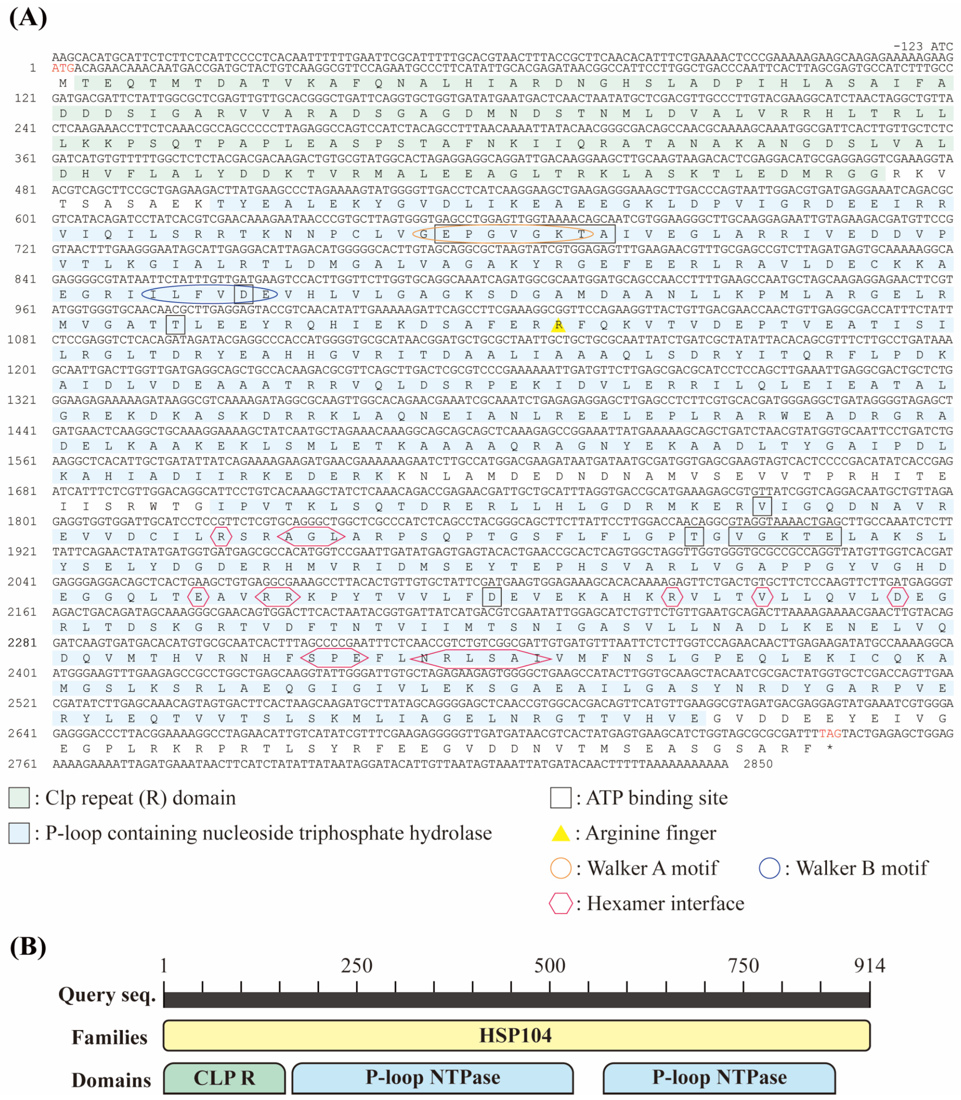Genes 16 01408 g001