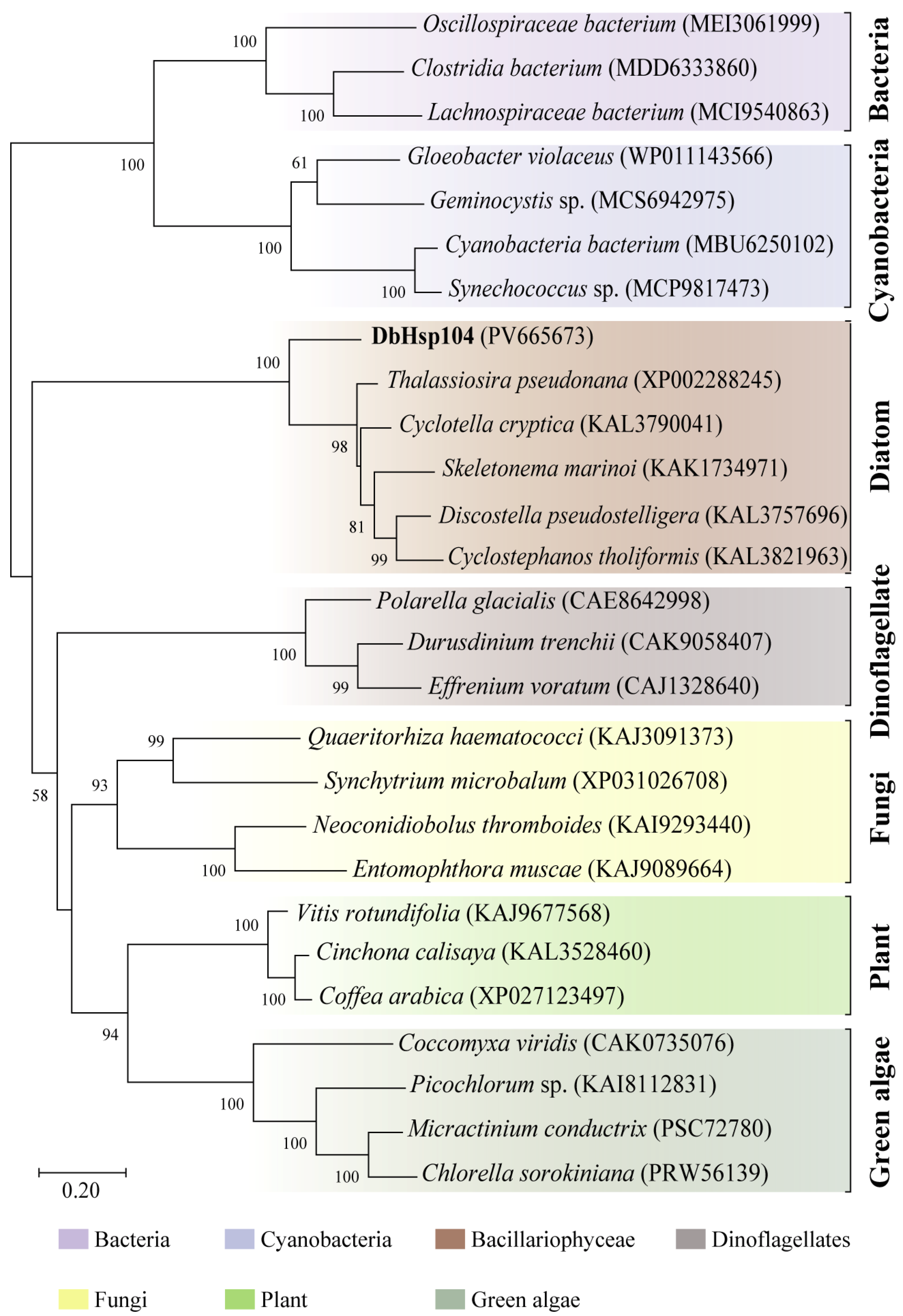Genes 16 01408 g003
