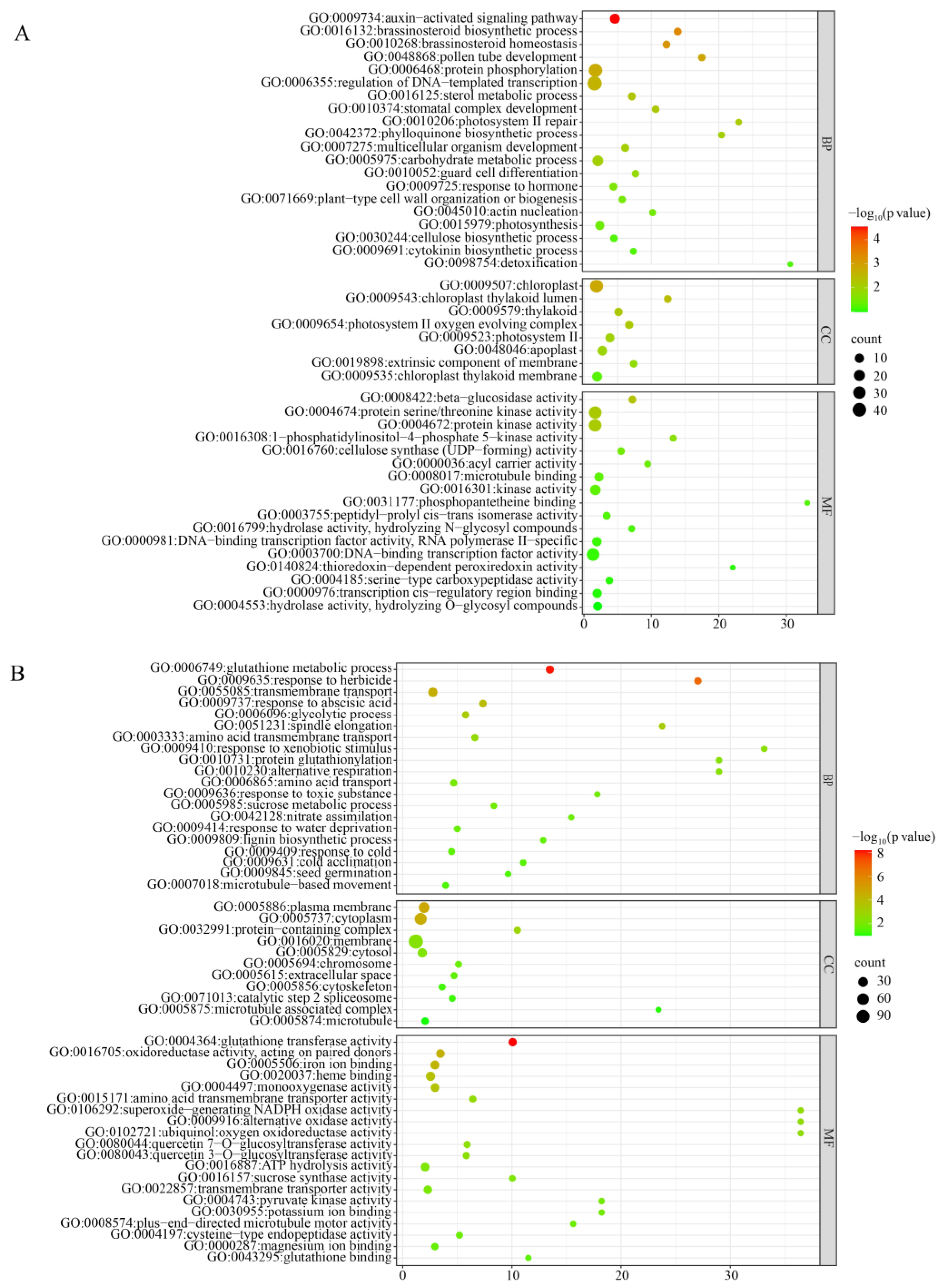 Genes 16 01410 g005
