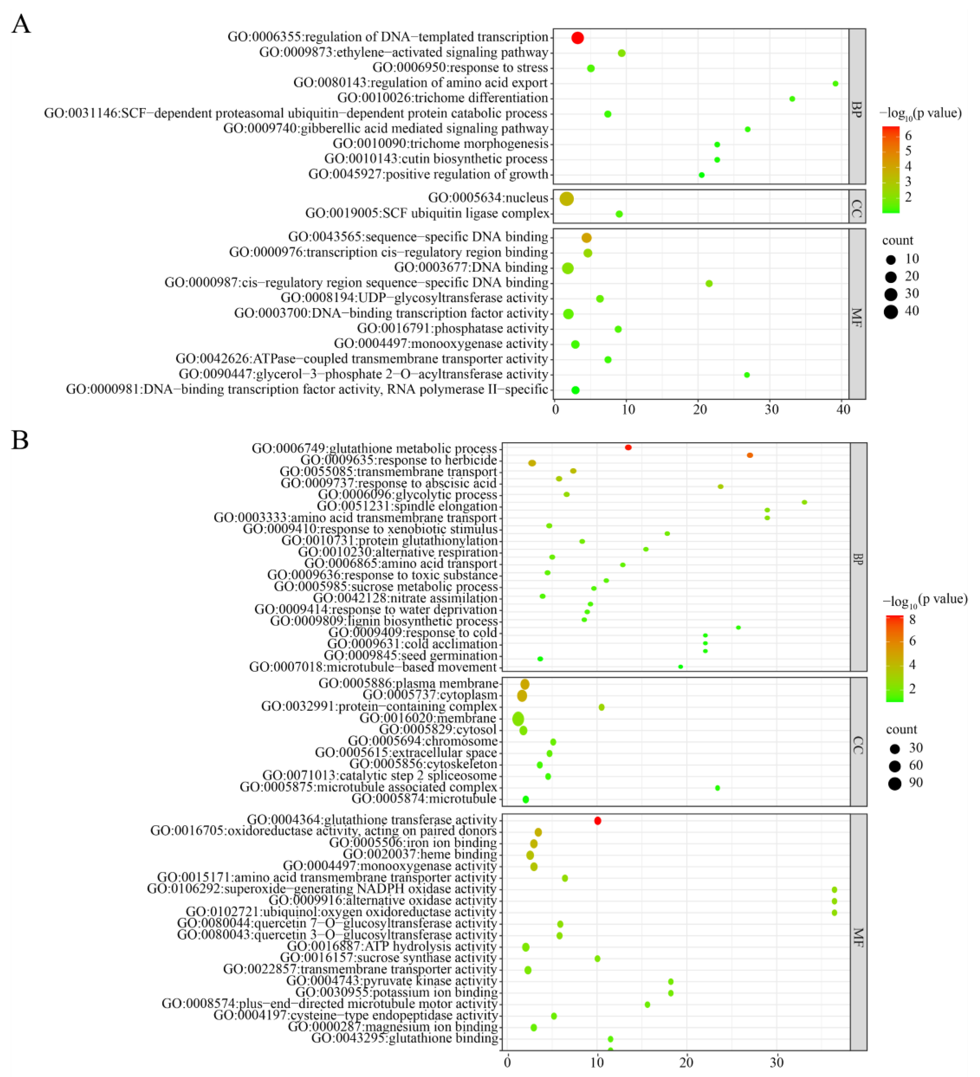 Genes 16 01410 g007