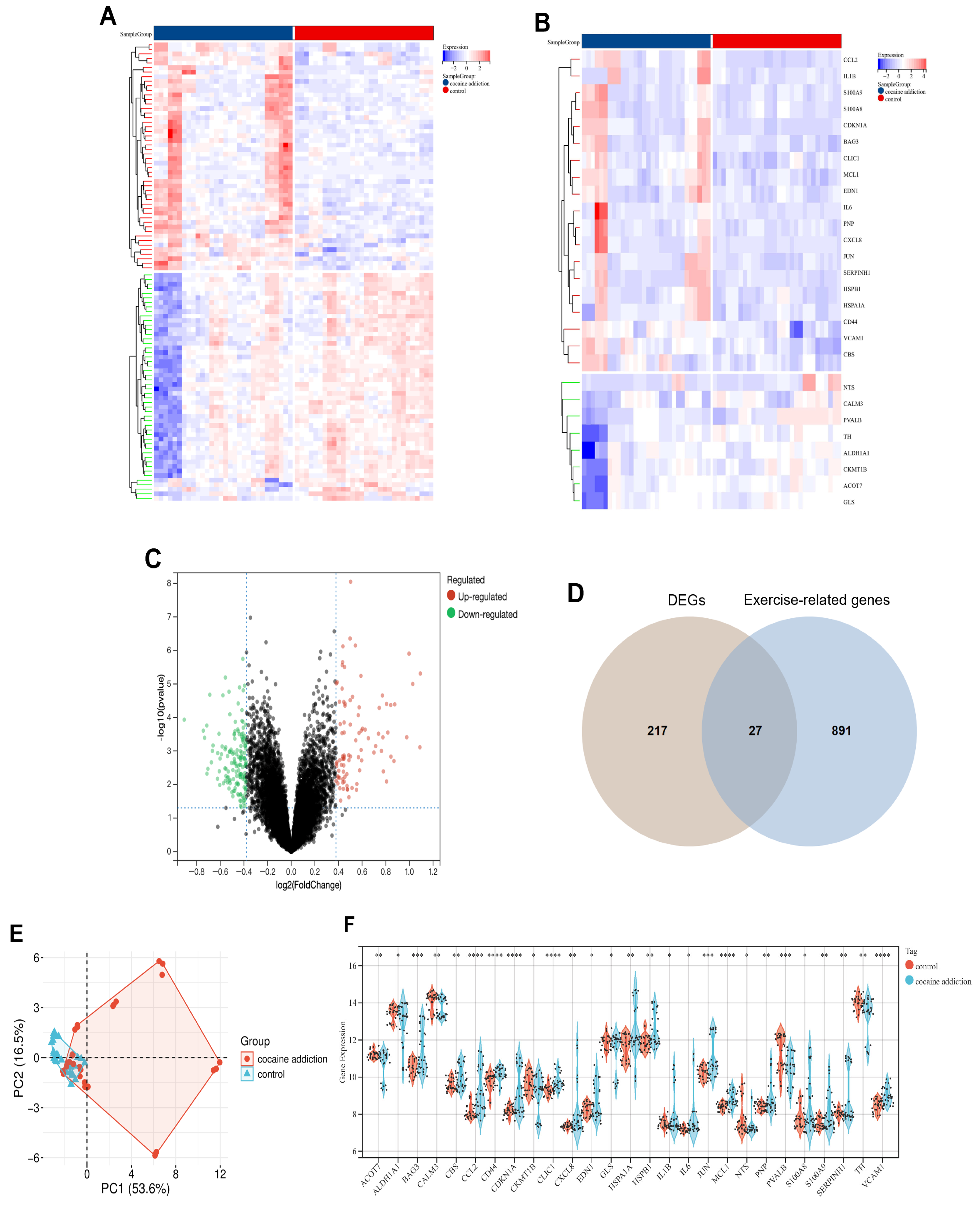 Genes 16 01414 g002