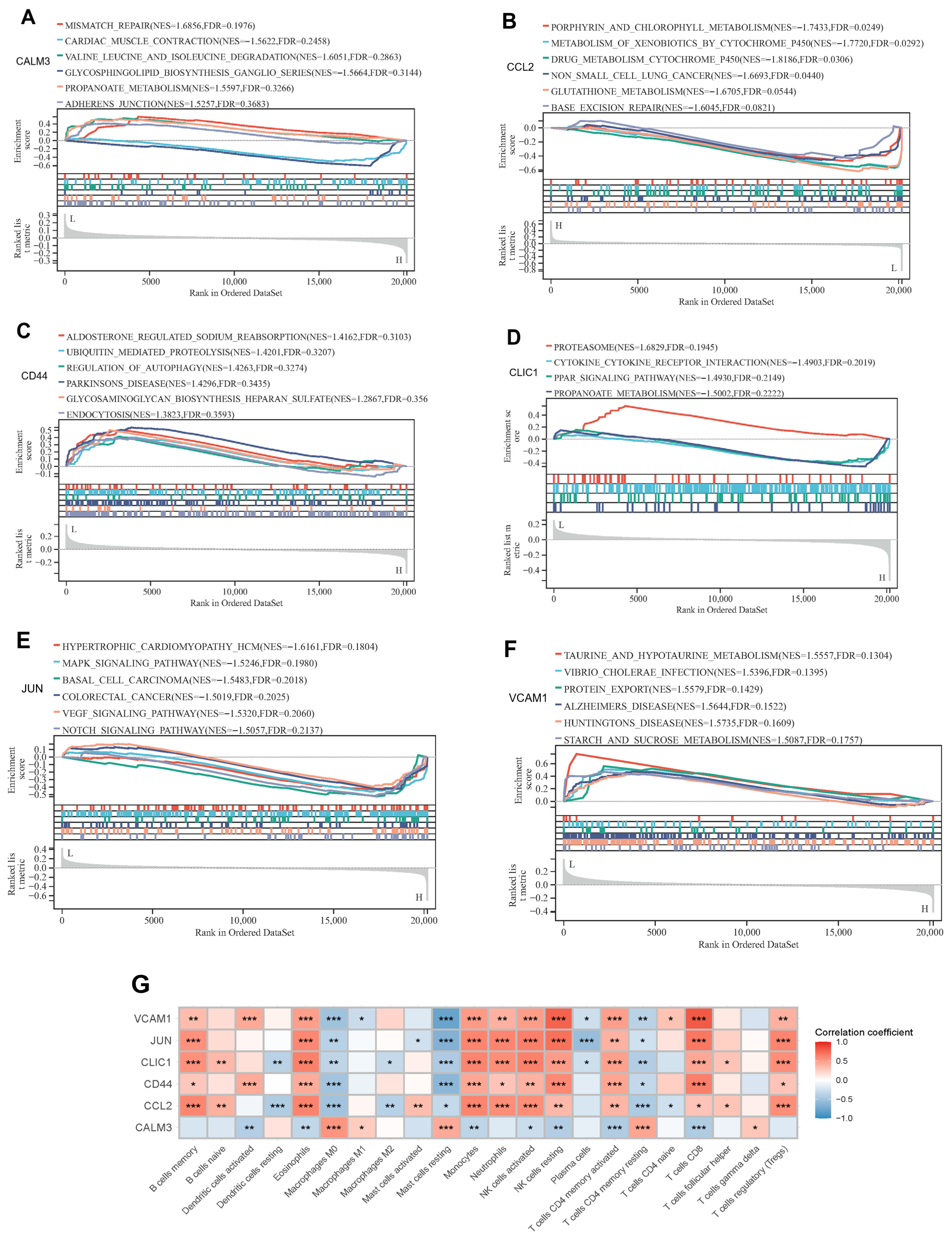Genes 16 01414 g007