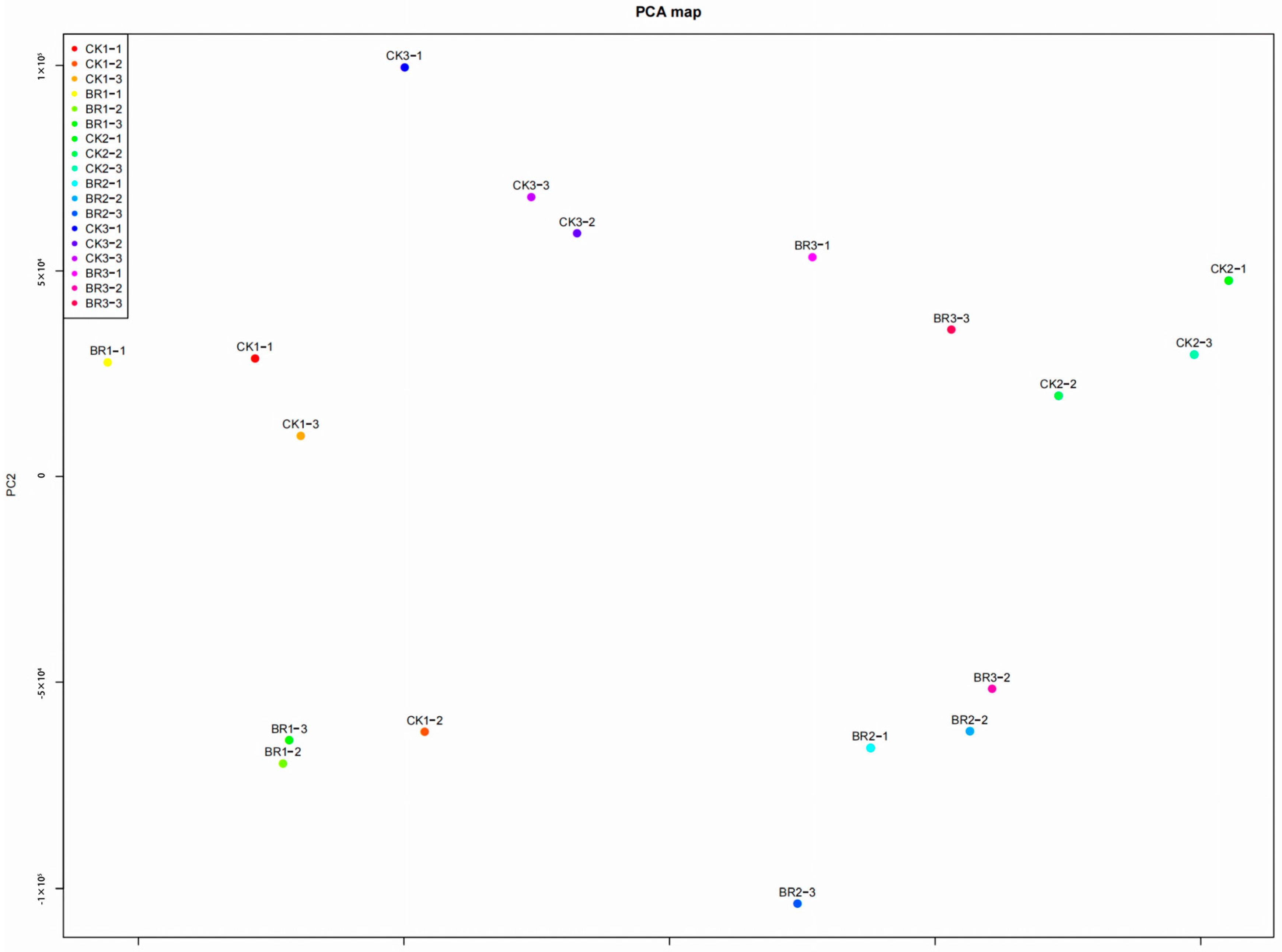 Genes 16 01424 g003 Genes 16 01424 g003