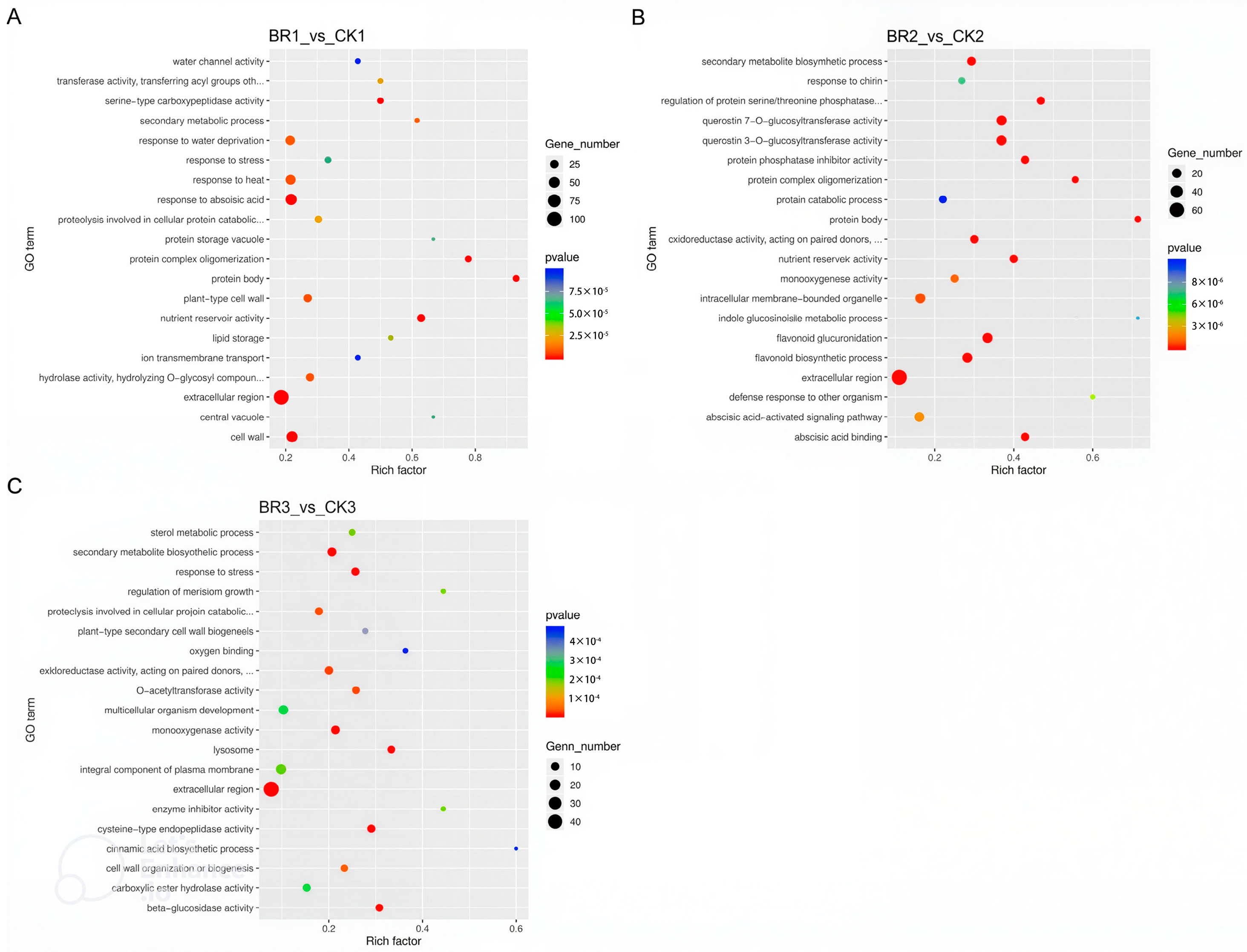 Genes 16 01424 g006 Genes 16 01424 g006
