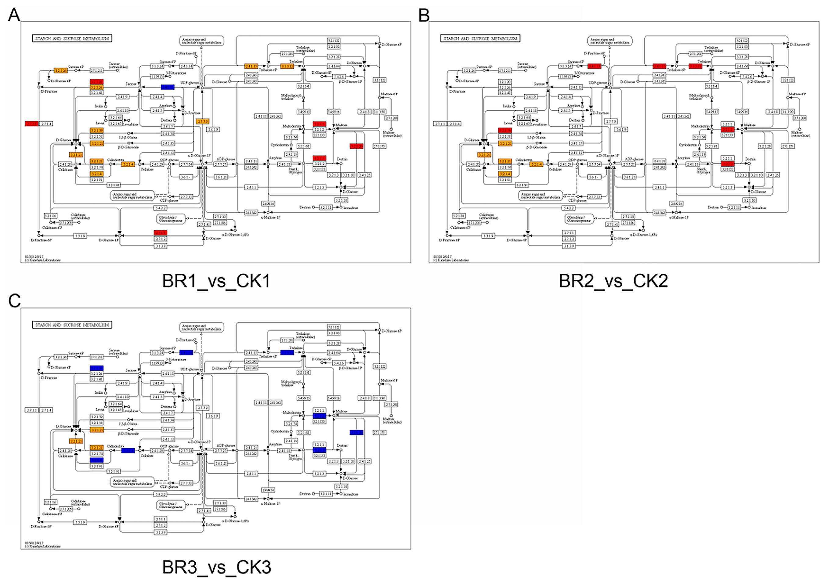 Genes 16 01424 g008 Genes 16 01424 g008