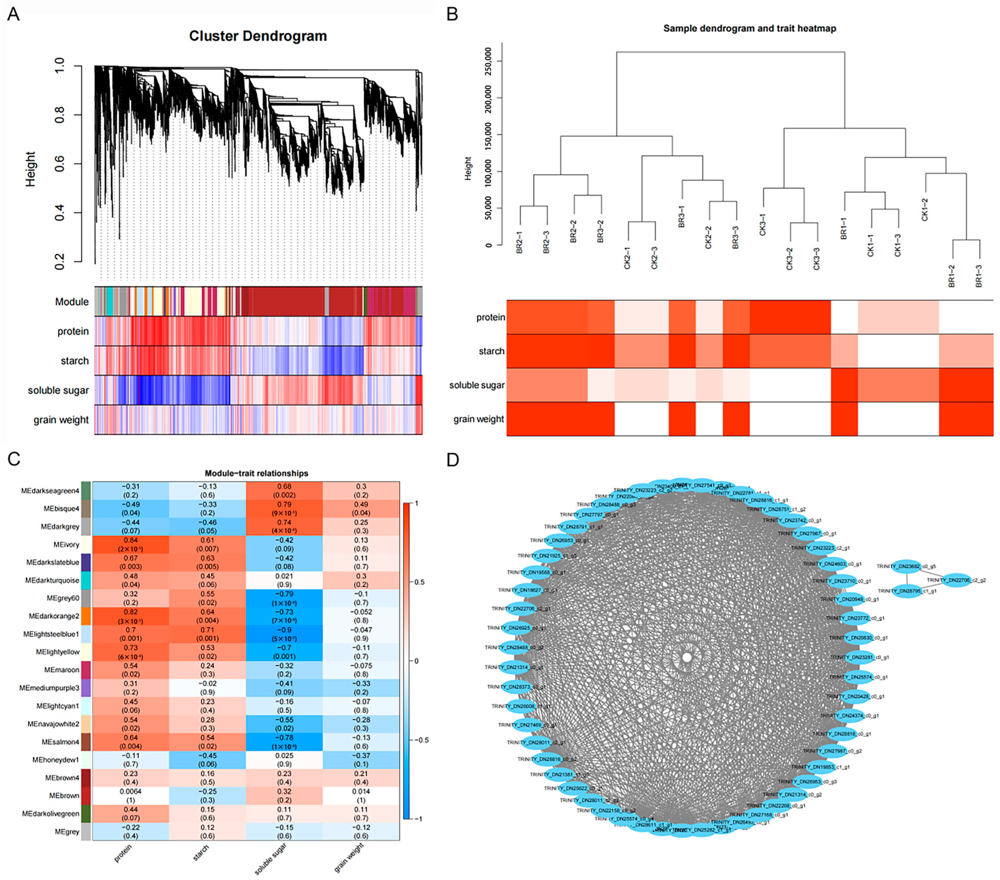 Genes 16 01424 g009 Genes 16 01424 g009