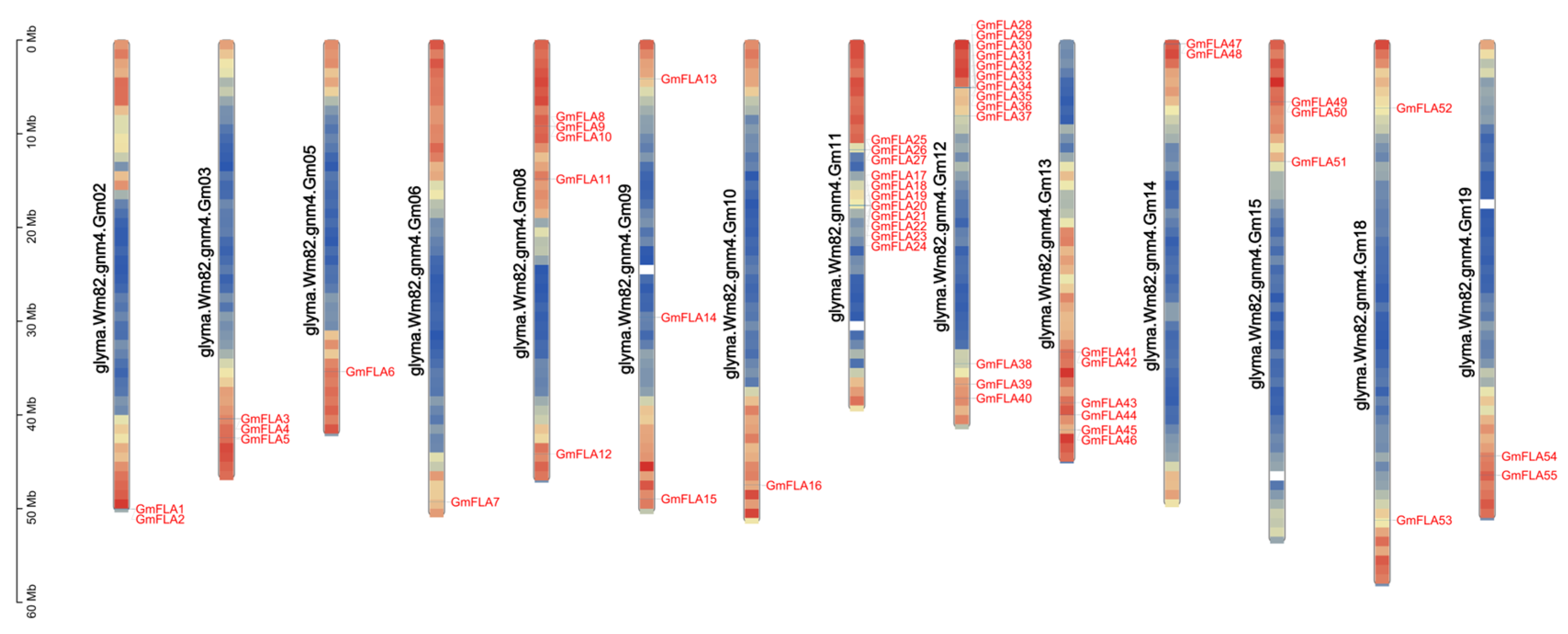 Genes 16 01425 g001 Genes 16 01425 g001