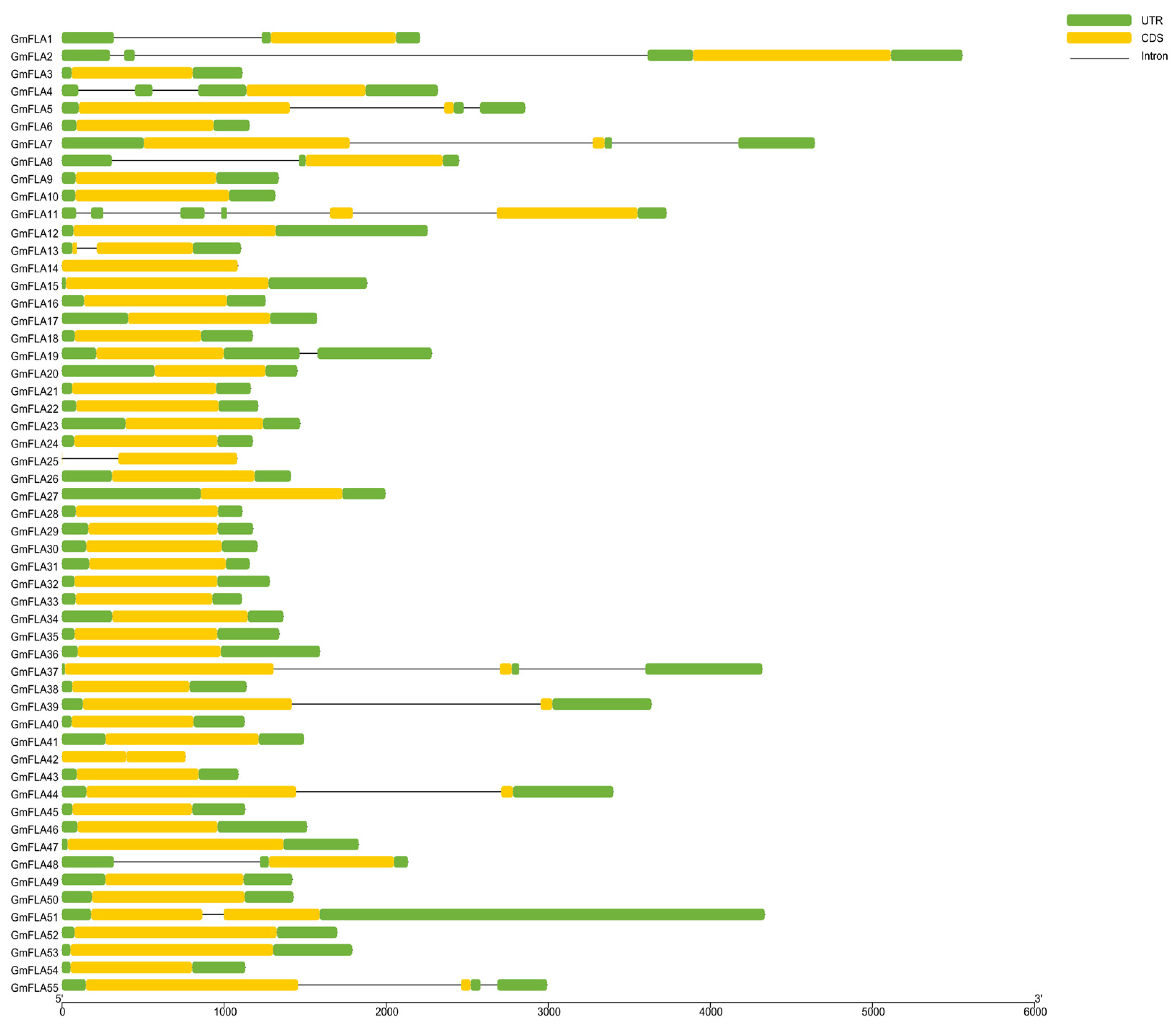 Genes 16 01425 g002 Genes 16 01425 g002