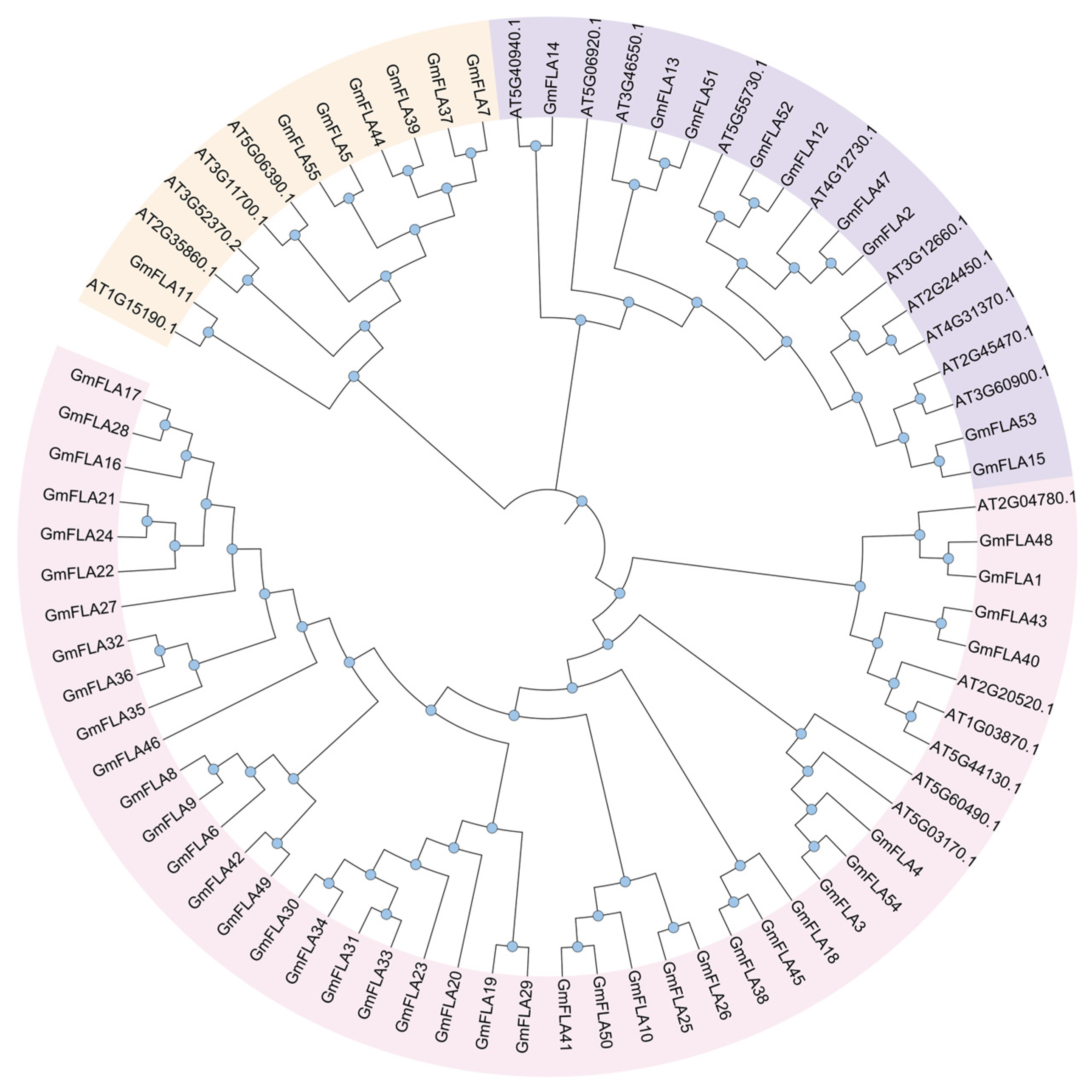 Genes 16 01425 g003 Genes 16 01425 g003