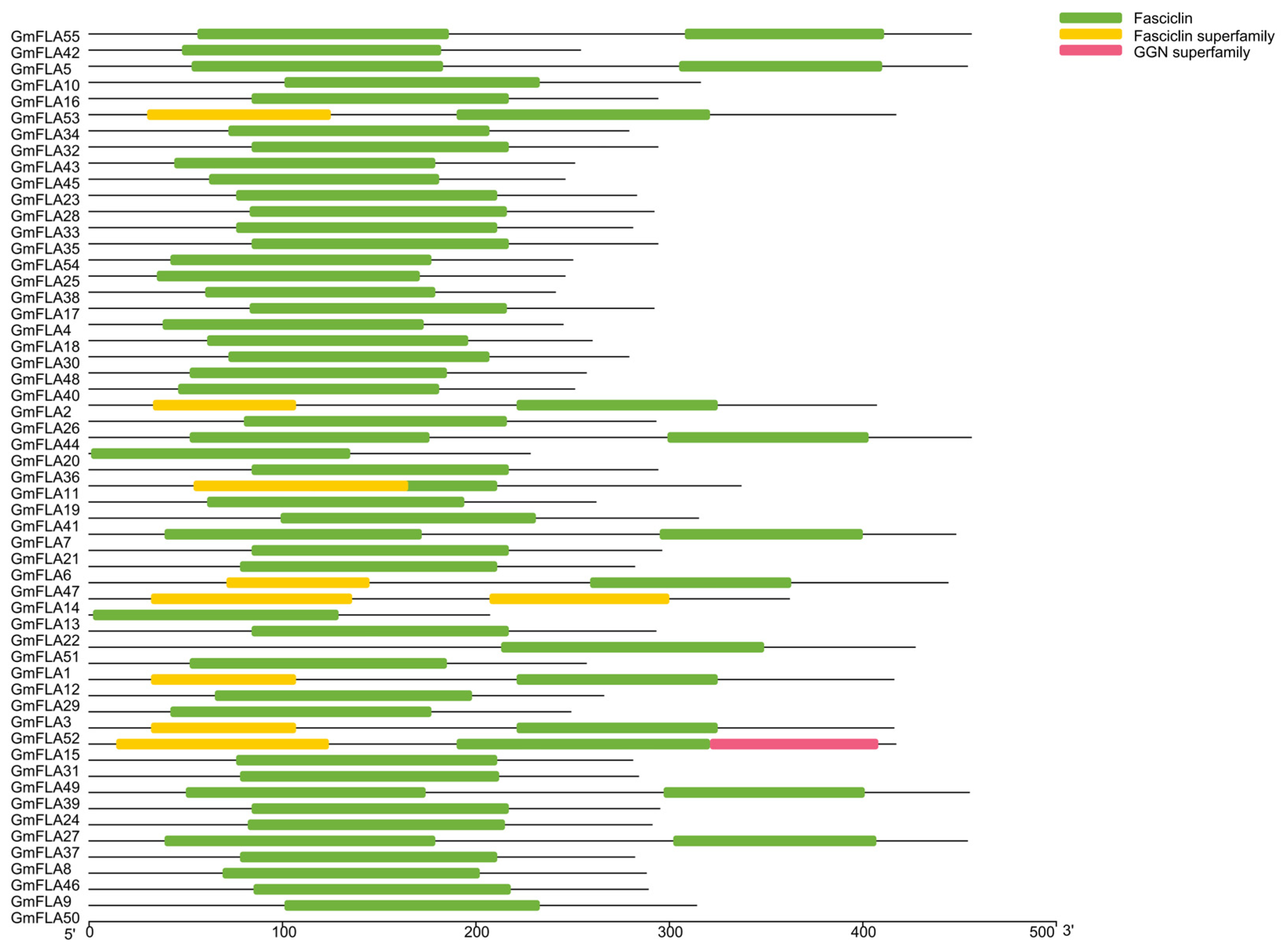 Genes 16 01425 g004 Genes 16 01425 g004