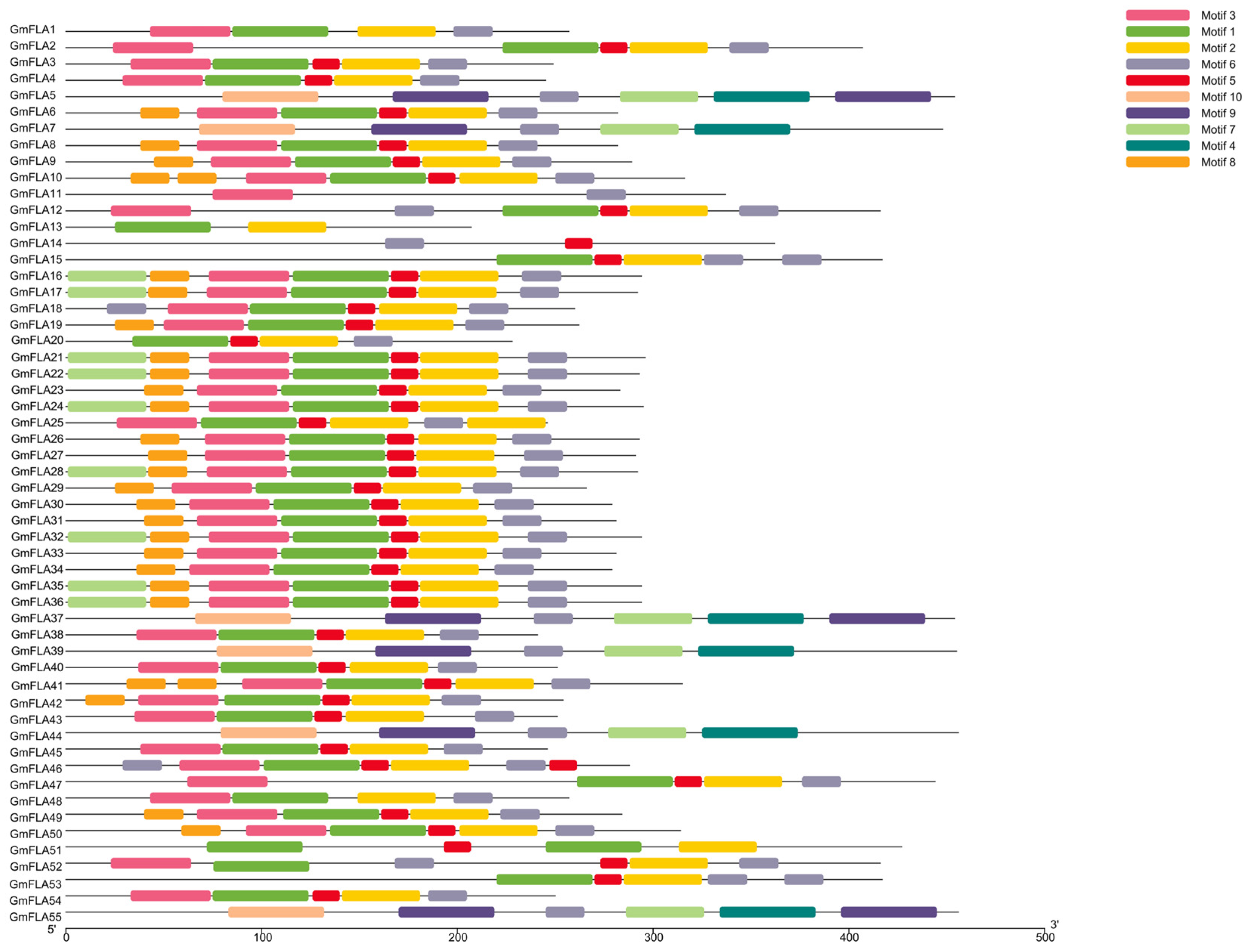 Genes 16 01425 g005 Genes 16 01425 g005