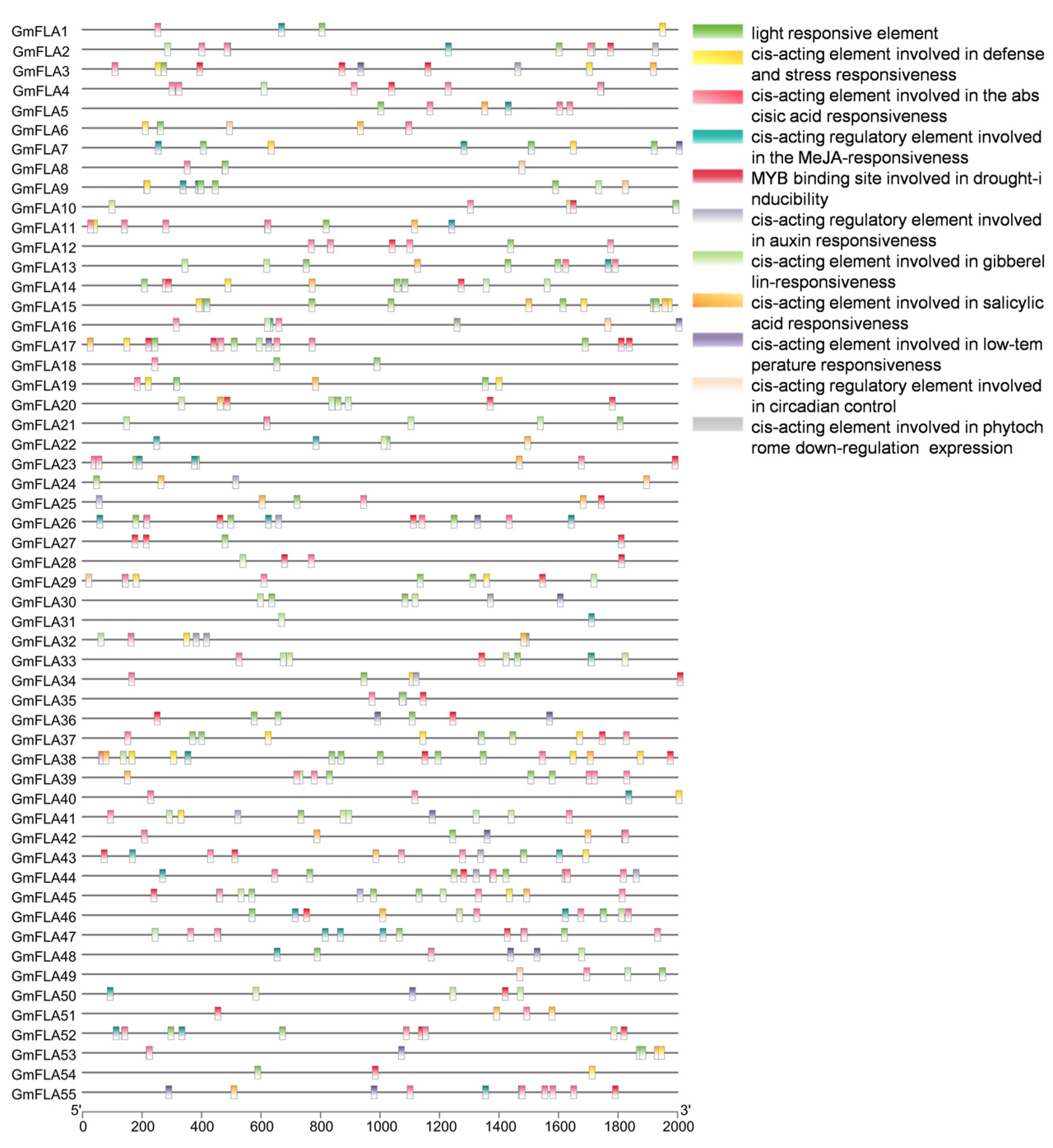 Genes 16 01425 g007 Genes 16 01425 g007